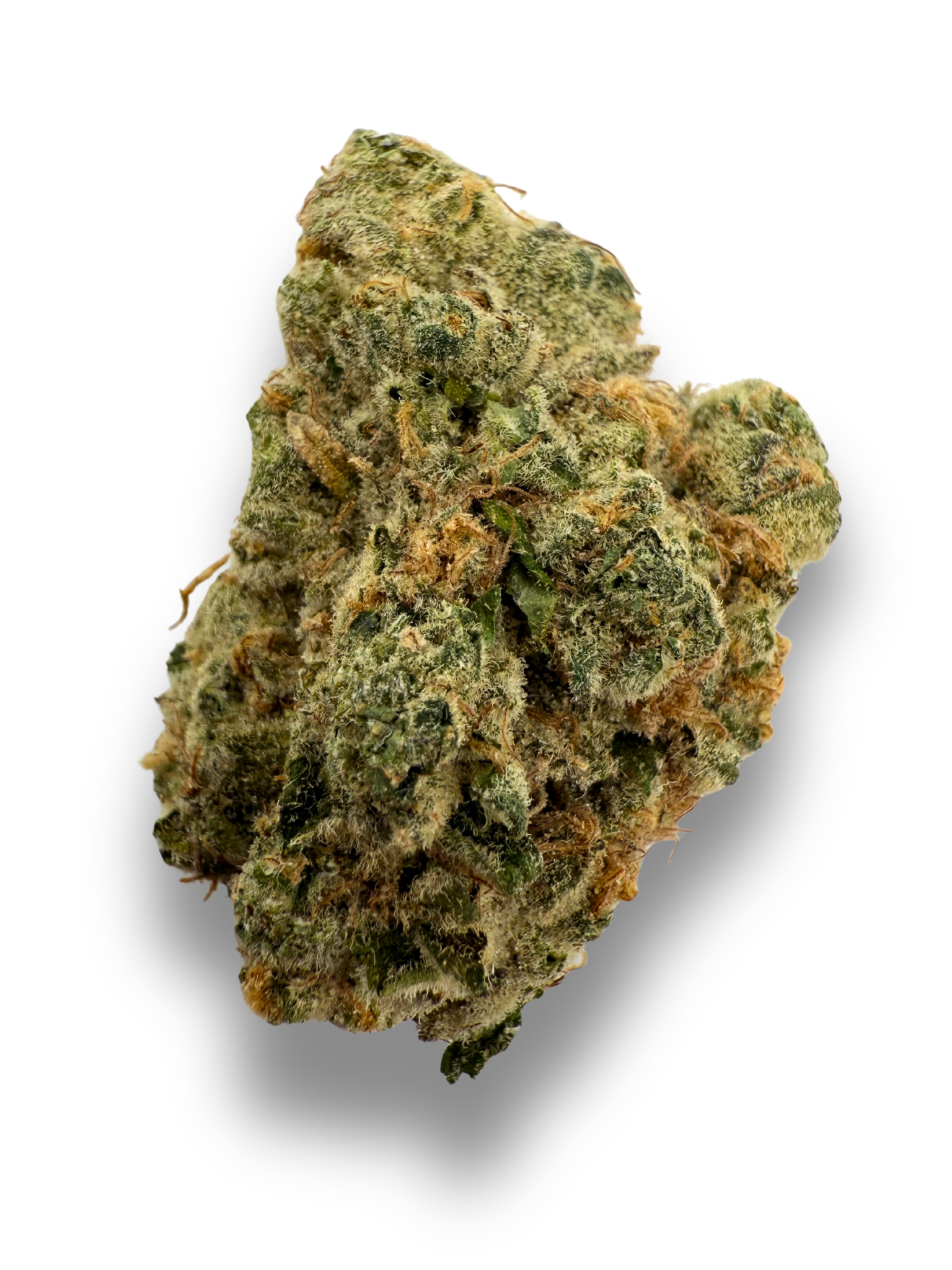 Strawberry Cough THCA Flower August Cannabis Club Indoors Living Soil