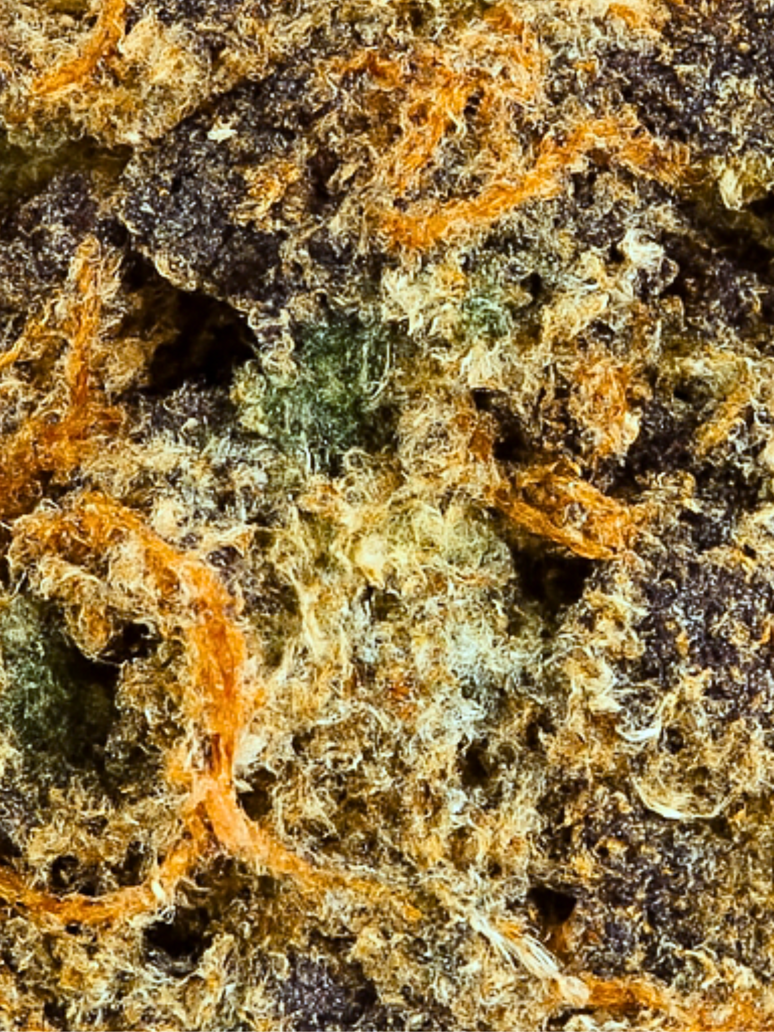 Pineapple Cheesecake - Exotic Smalls