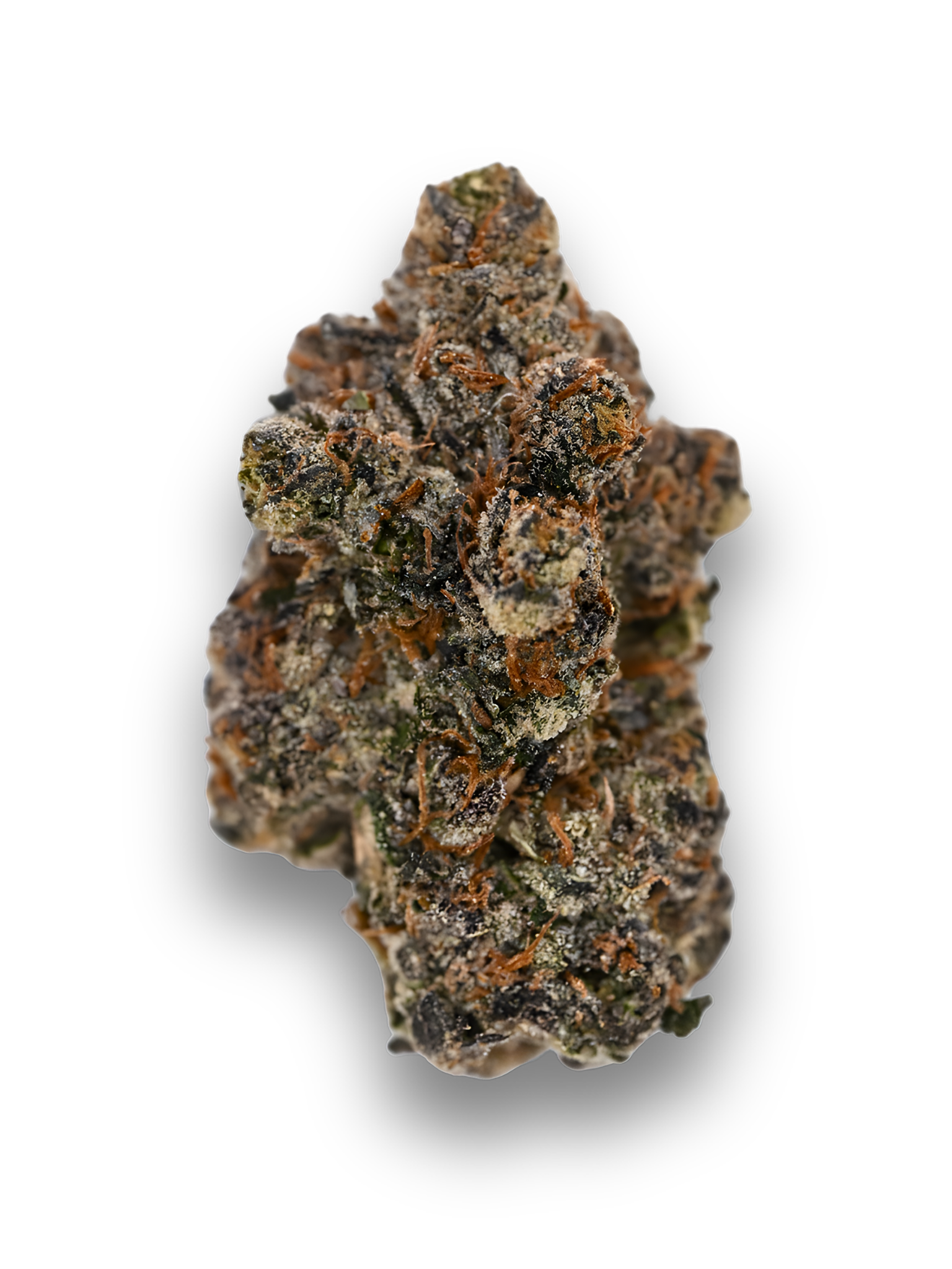Purple Haze THCA Indoor Living Soil Flower | August Cannabis Club
