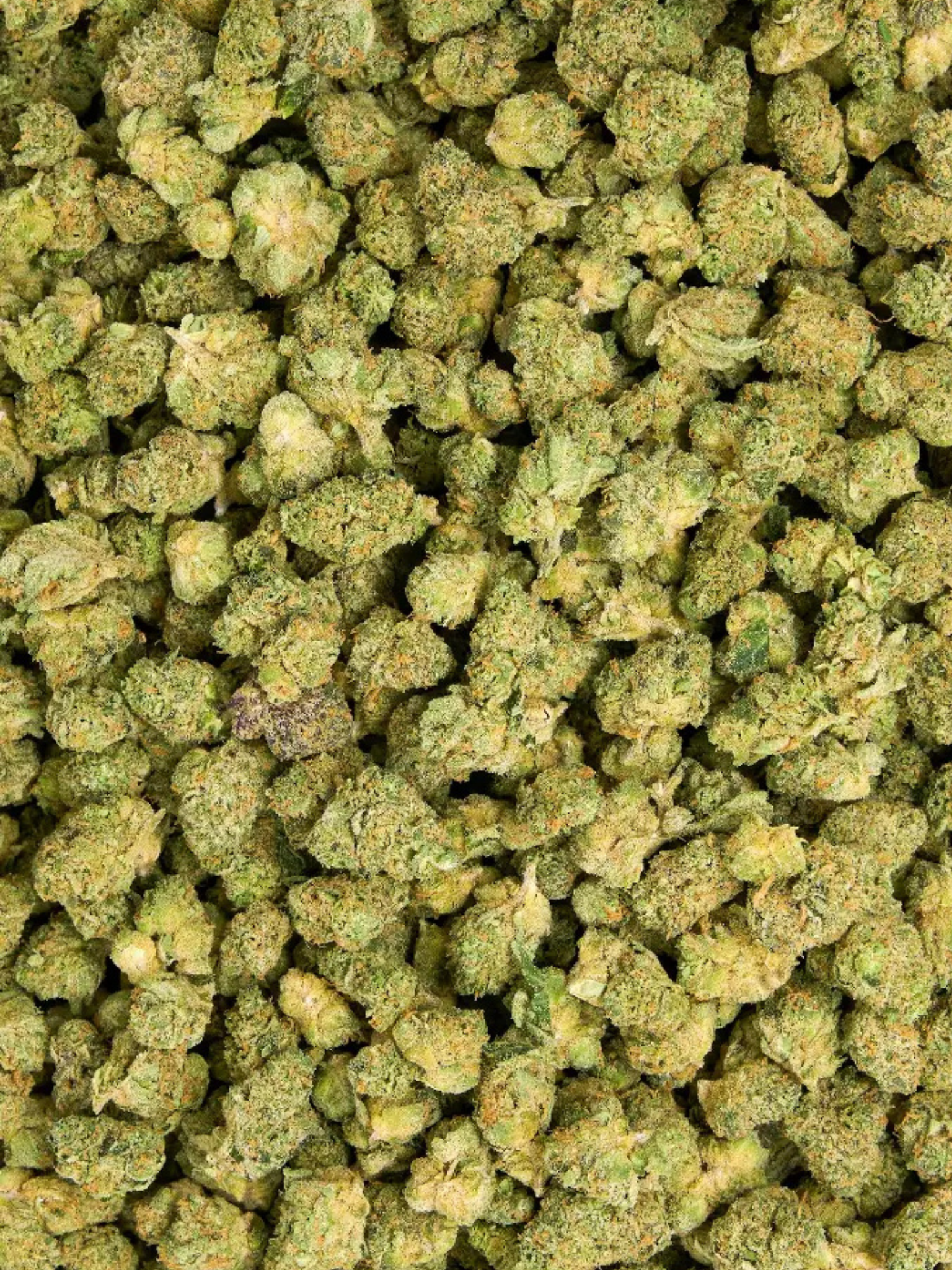 Greenhouse Smalls