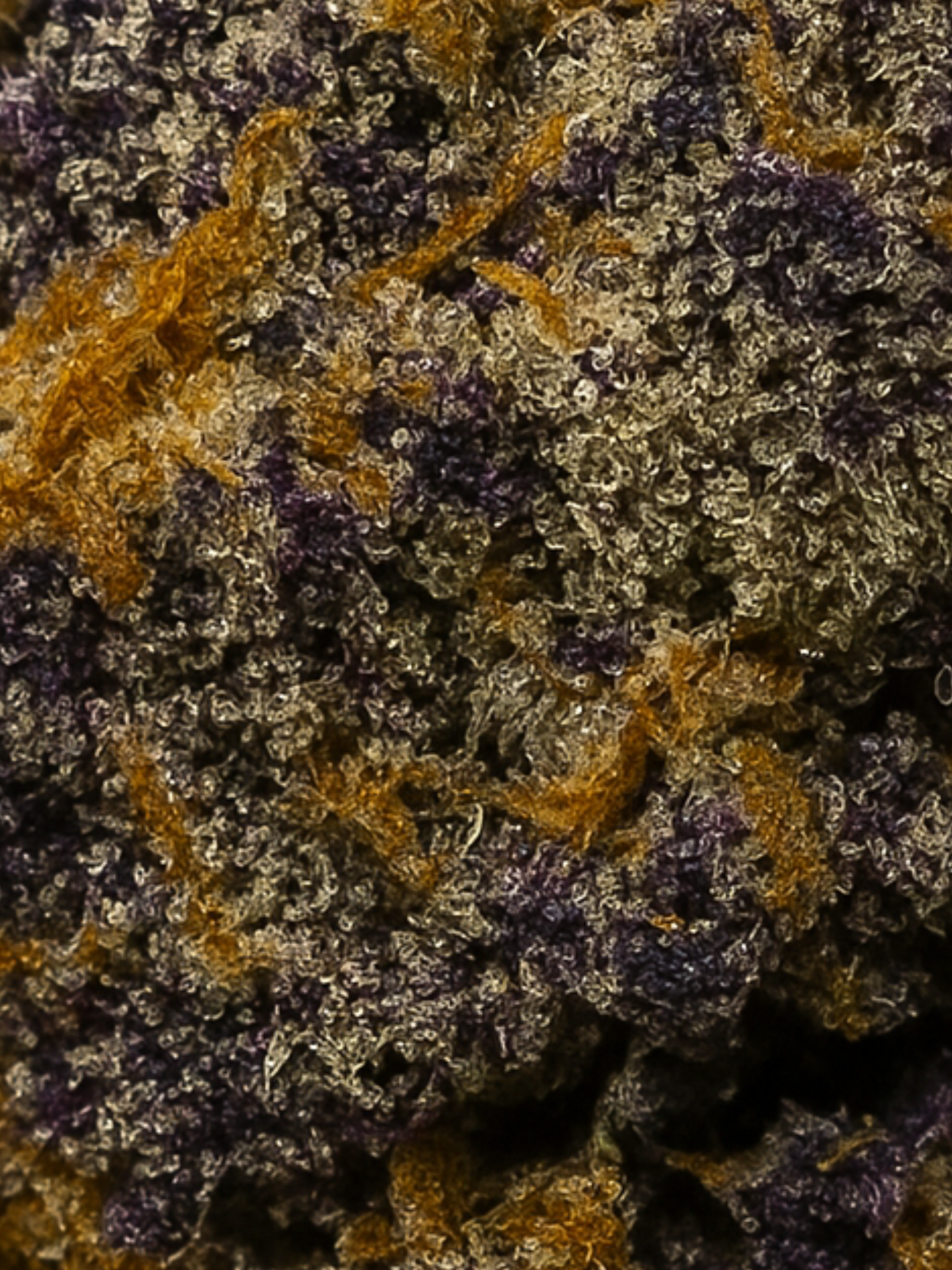 Indicas