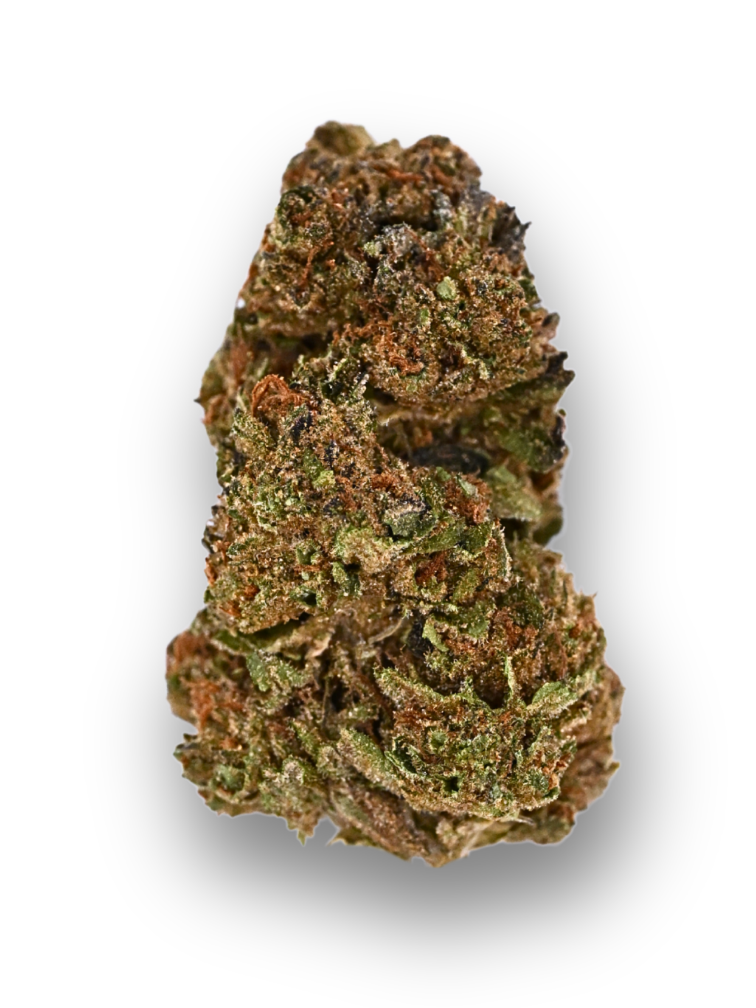  Bohemian Soap Greenhouse Sativa August Cannabis Club THCA Flower