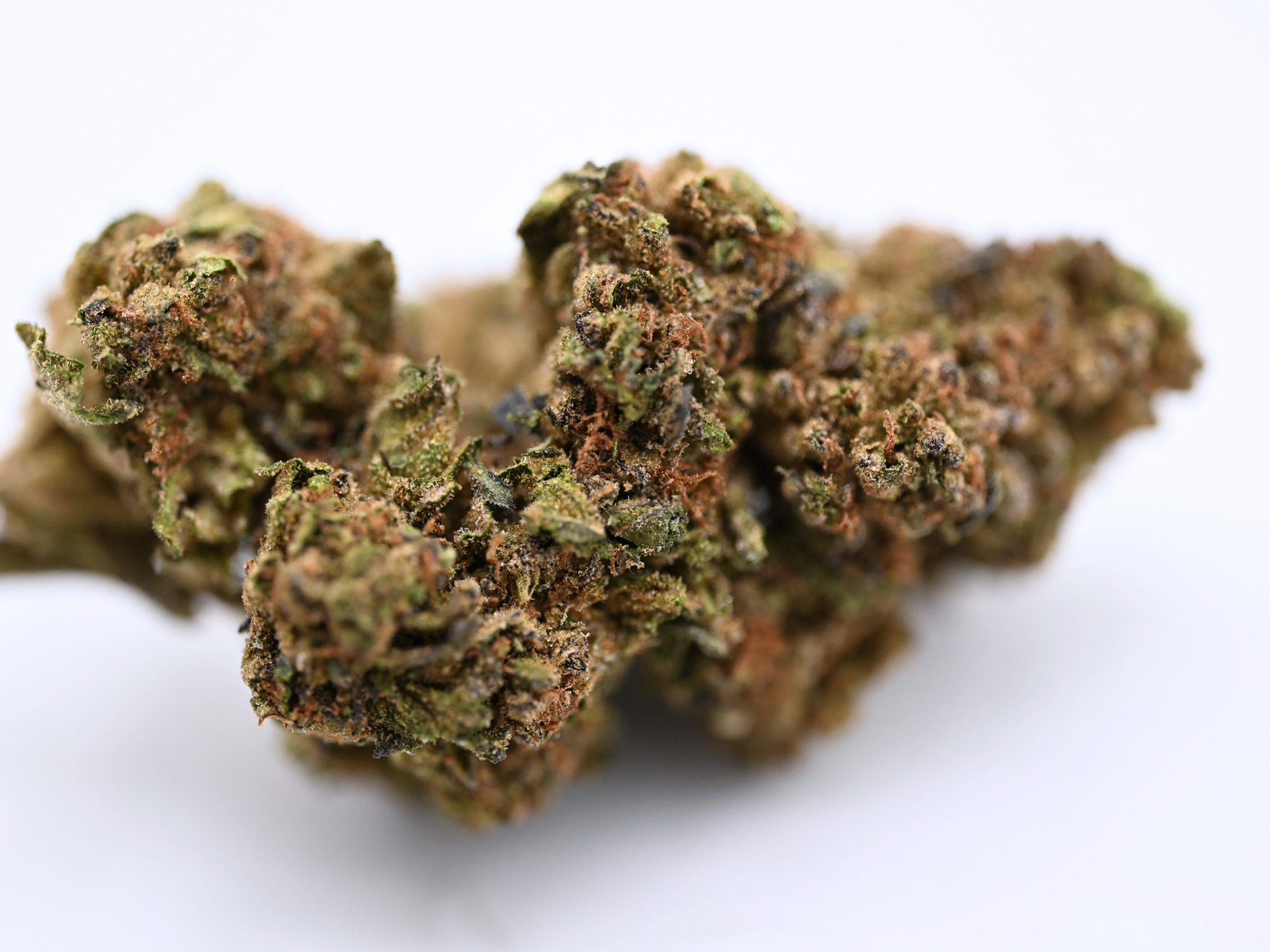  Bohemian Soap Greenhouse Sativa August Cannabis Club THCA Flower