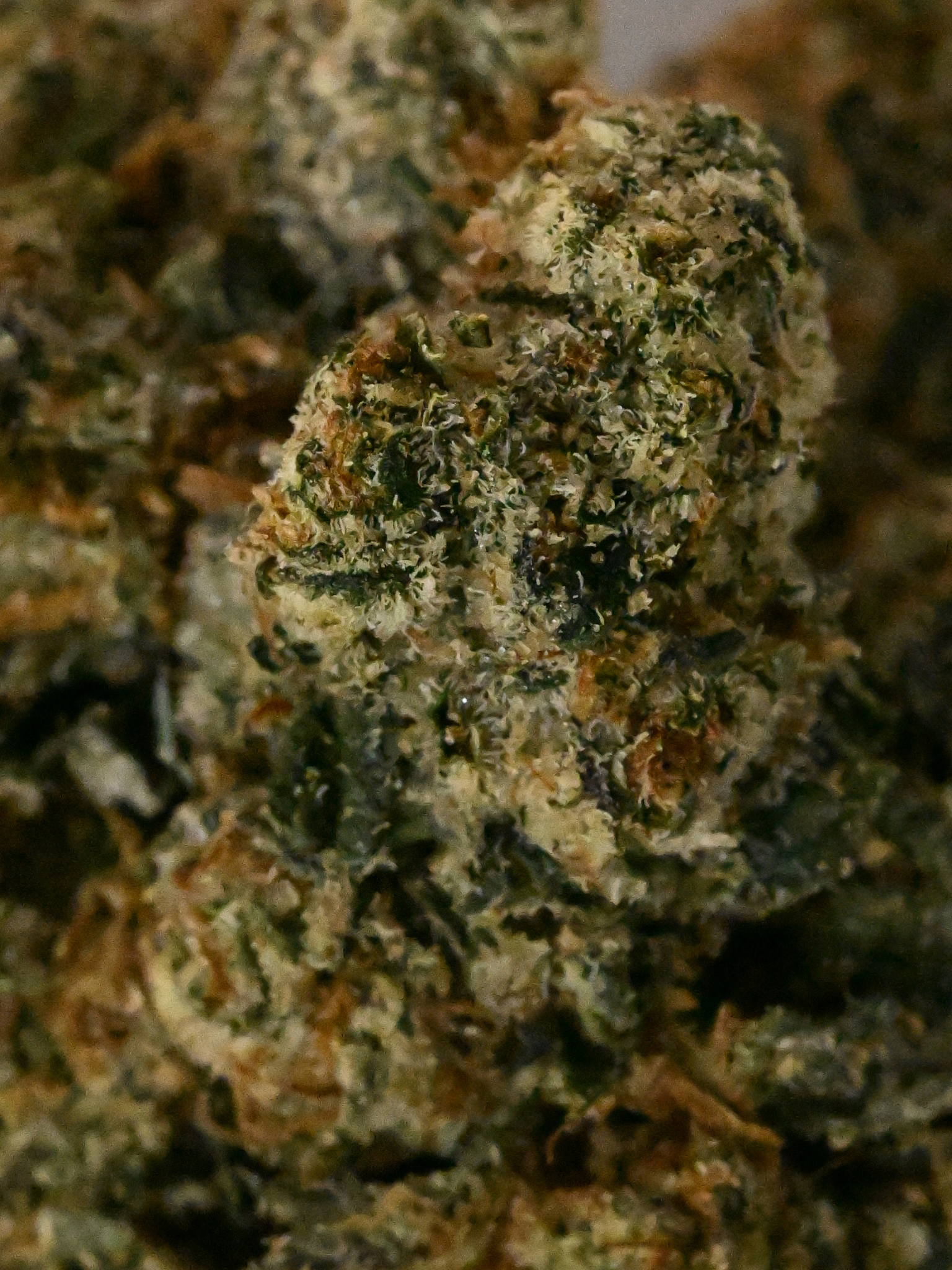 Truffle Tart THCA August Cannabis Club Sativa Flower