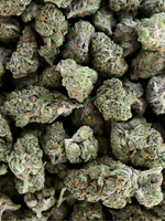 Tropicana Cookies THCA Flower August Cannabis Club Indoor Flower Sativa