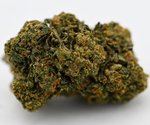 Acapulco Gold THCA Flower Greenhouse Living Soil August Cannabis Club