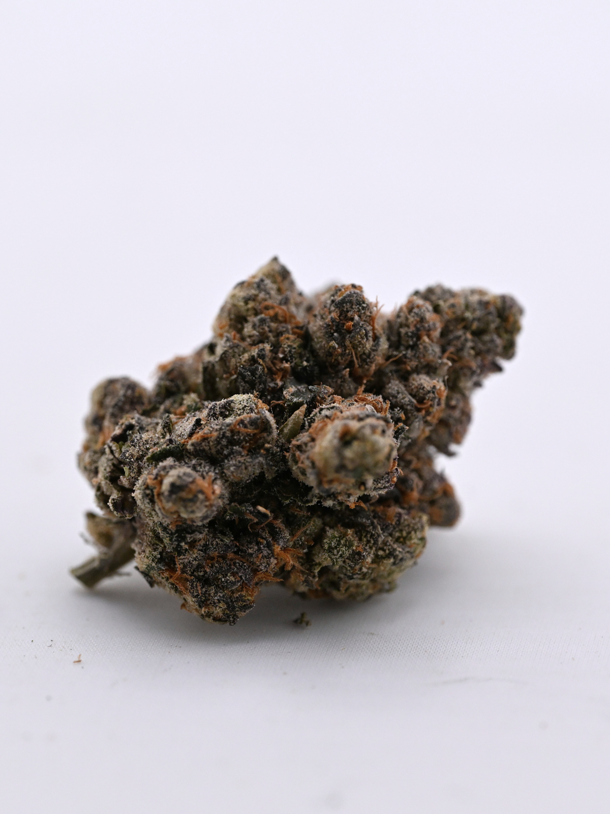 Purple Haze THCA Sativa Flower August Cannabis Club