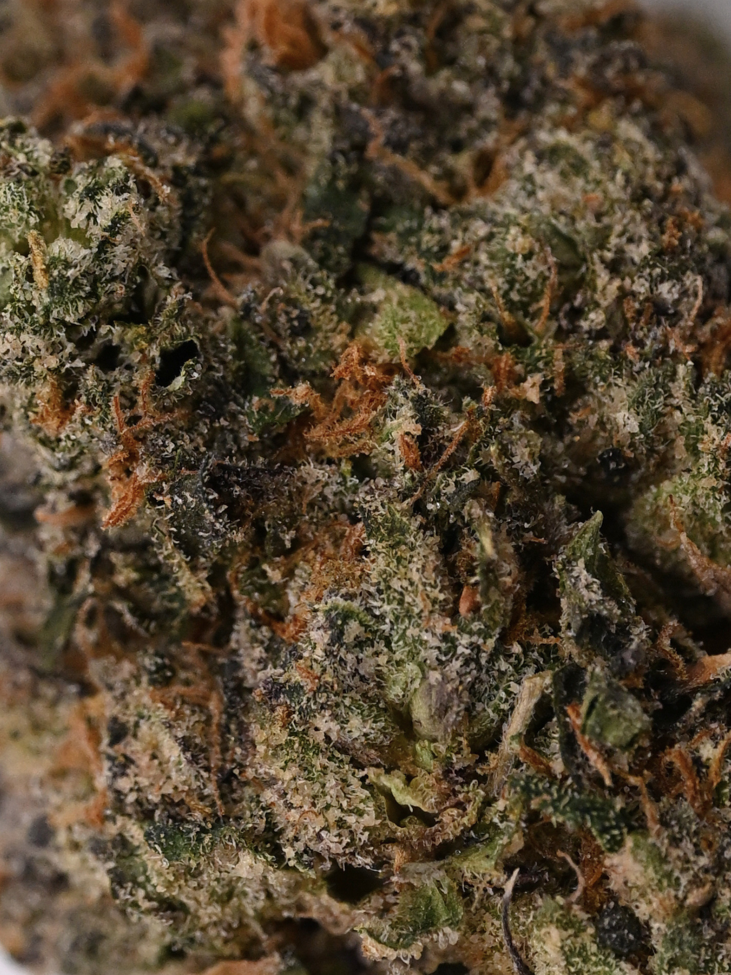 Purple Haze THCA Sativa Flower August Cannabis Club