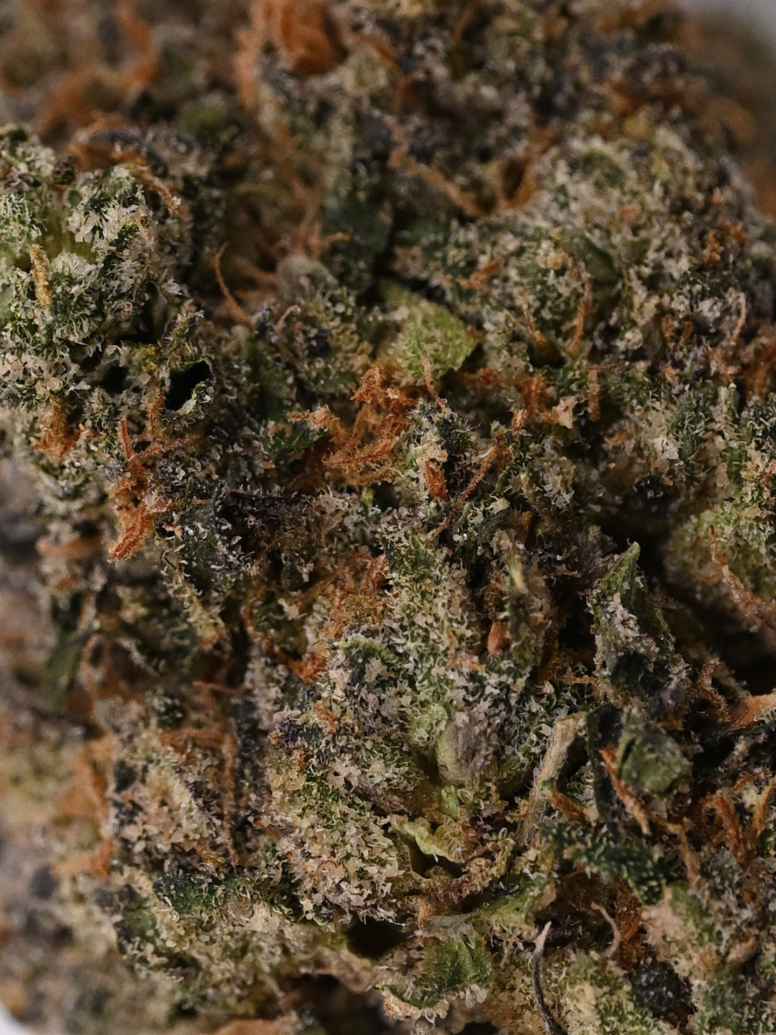 Purple Haze THCA Sativa Flower August Cannabis Club