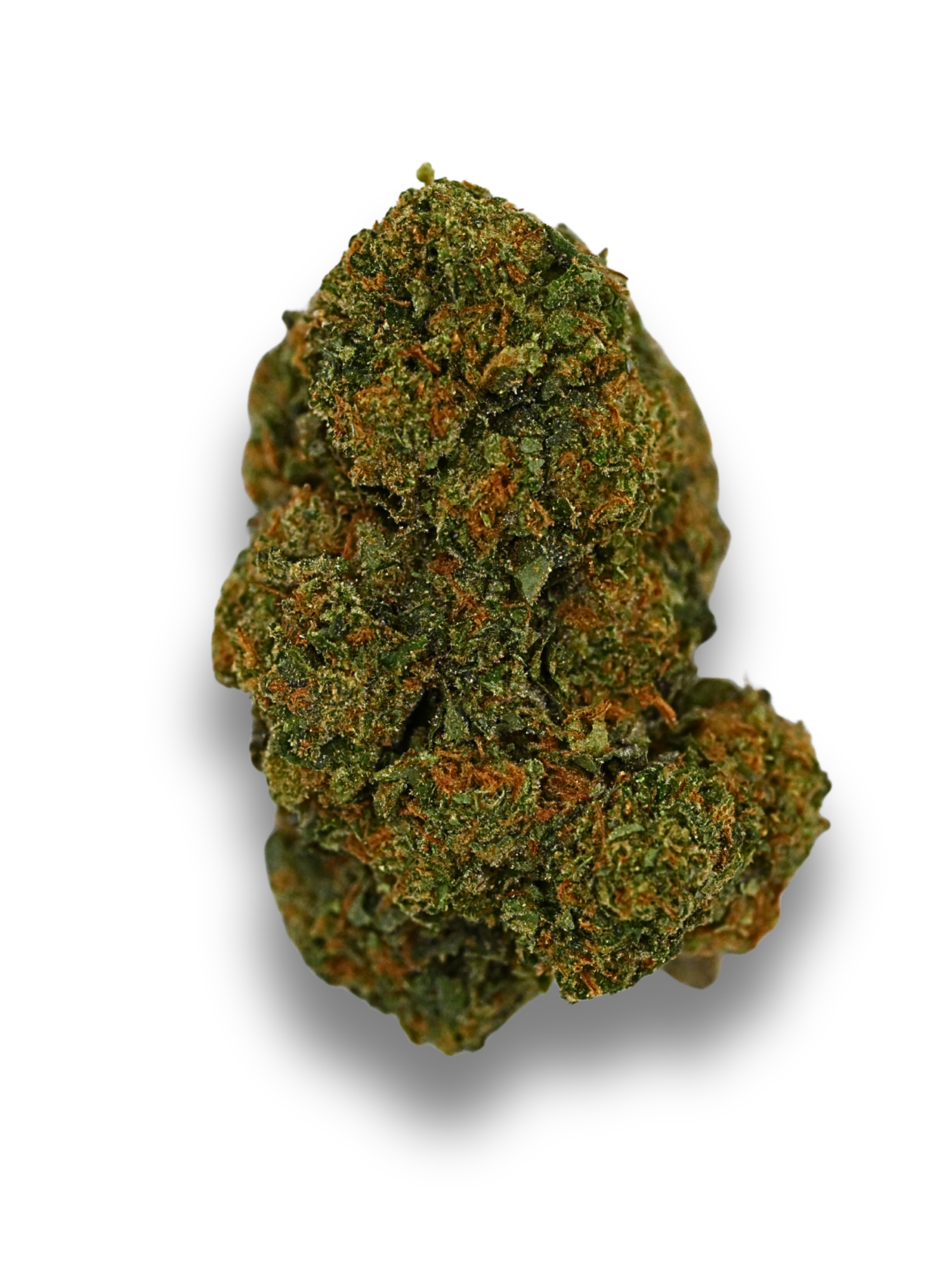 Acapulco Gold August Club THCA Living Soil Greenhouse Flower