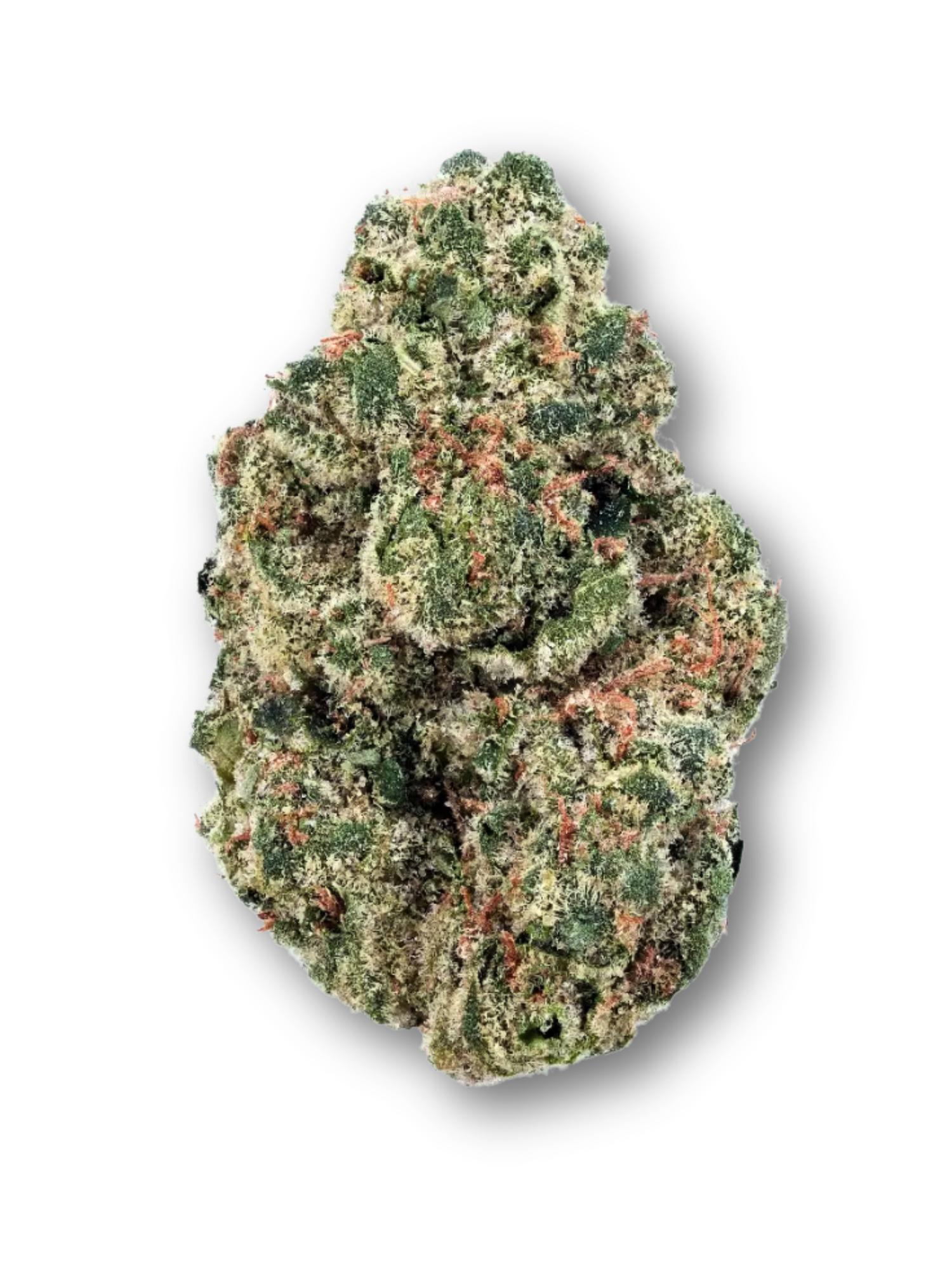 Afghani