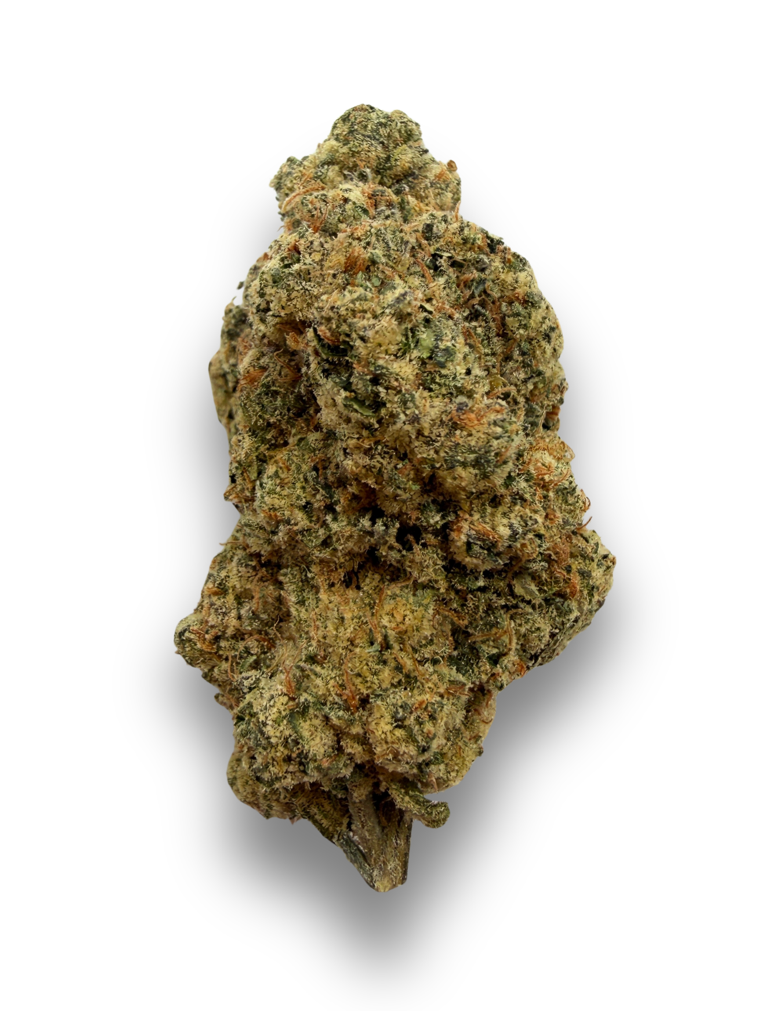 Alaskan Thunderfuck THCA August Cannabis Club Flower Indoor Living Soil