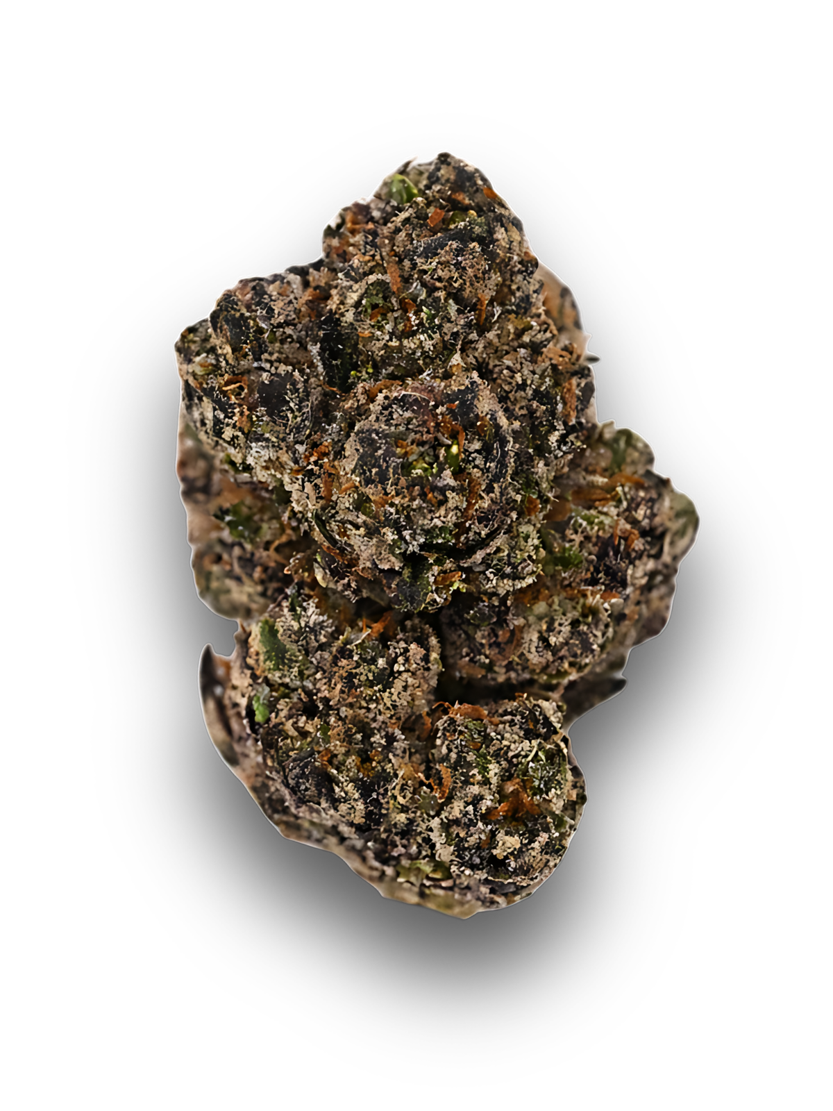 Apple Fritter | August Cannabis Club