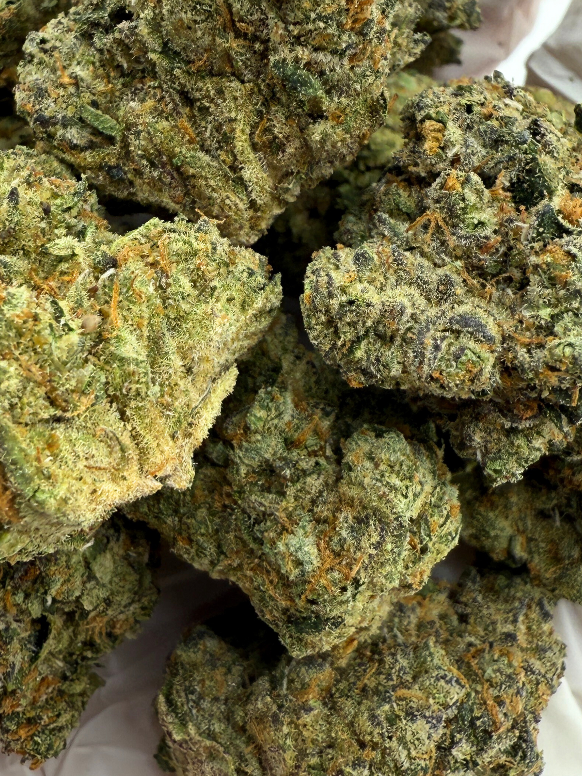 August Cannabis Club's Afghan THCA Flower Indoor Living Soil