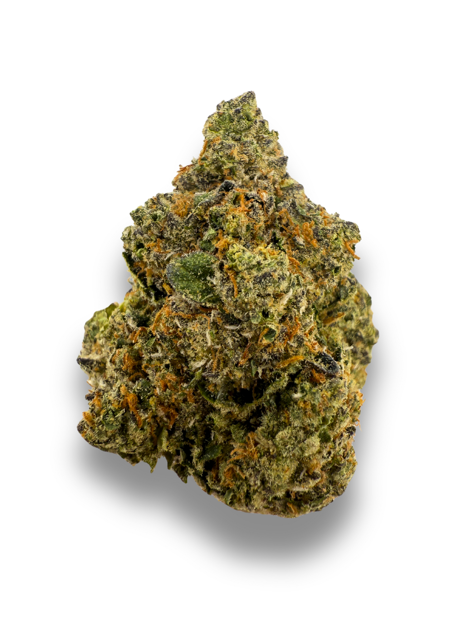 Afghan