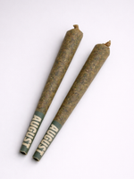 Two king-sized THCa prerolls with green filter tips on a light gray backdrop | August Cannabis Club