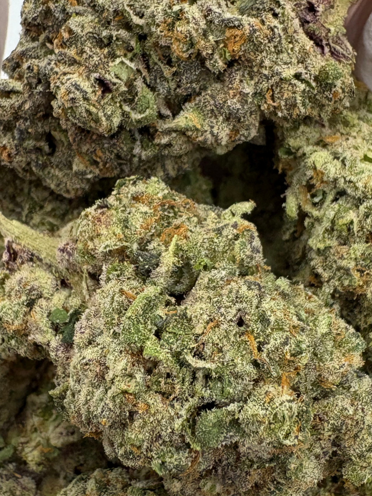 Banana Nose Candy Thca Flower