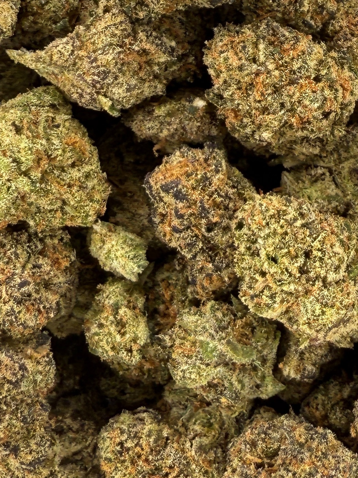 August Cannabis Club THCA Banana Zkittles Indoor Flower