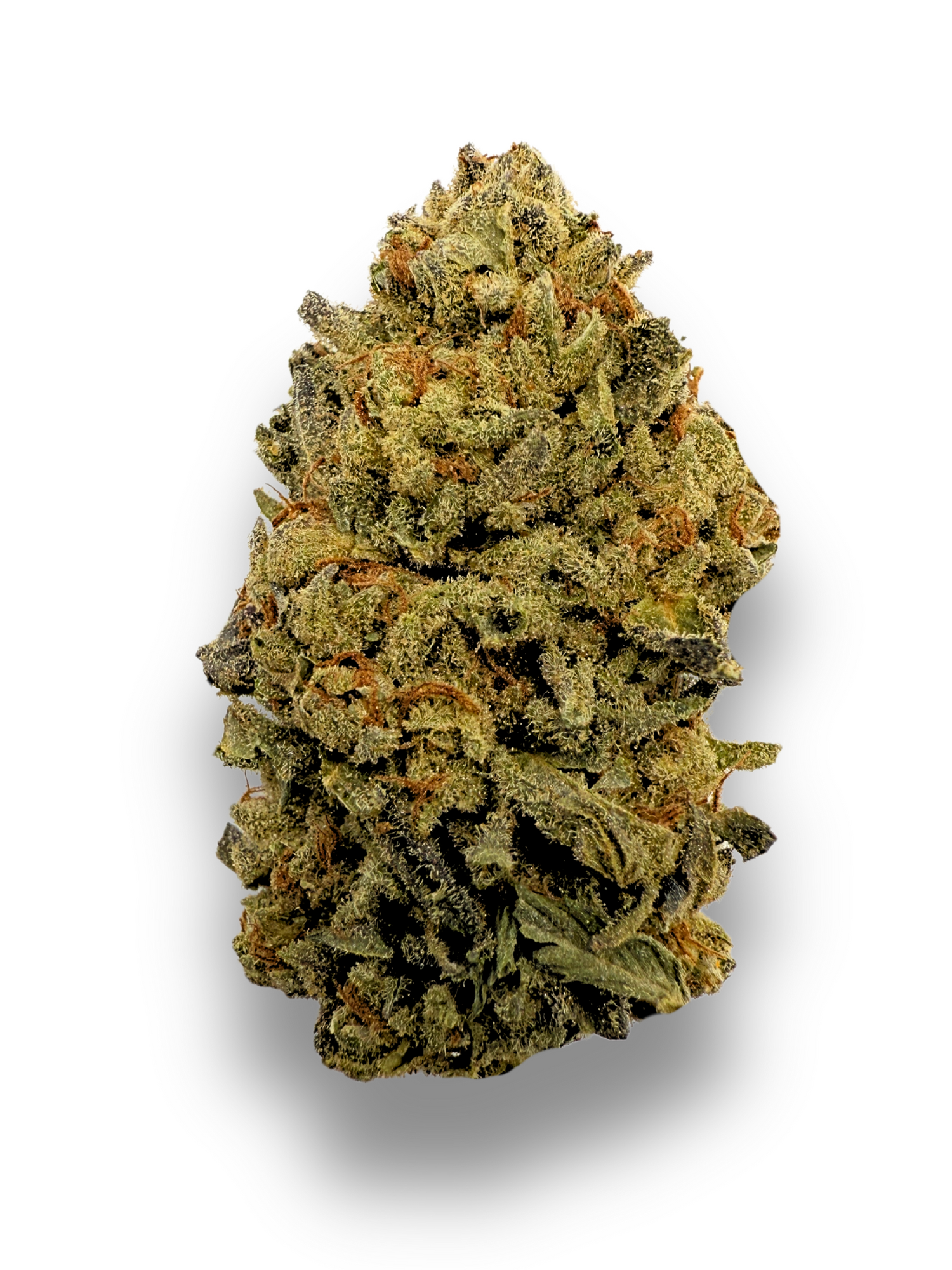 Biscotti Sherbet