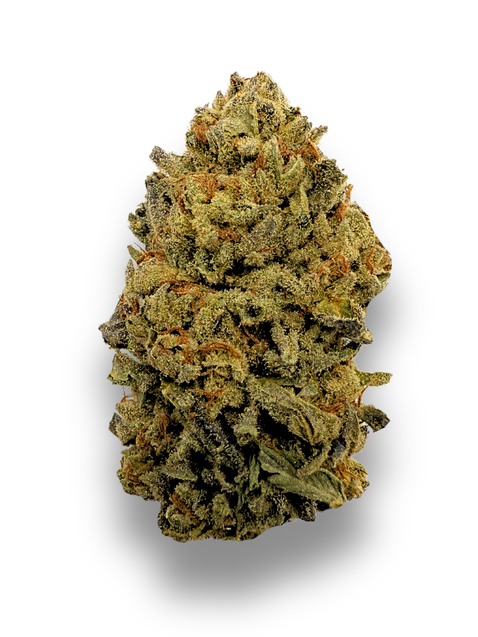 Biscotti Sherbet