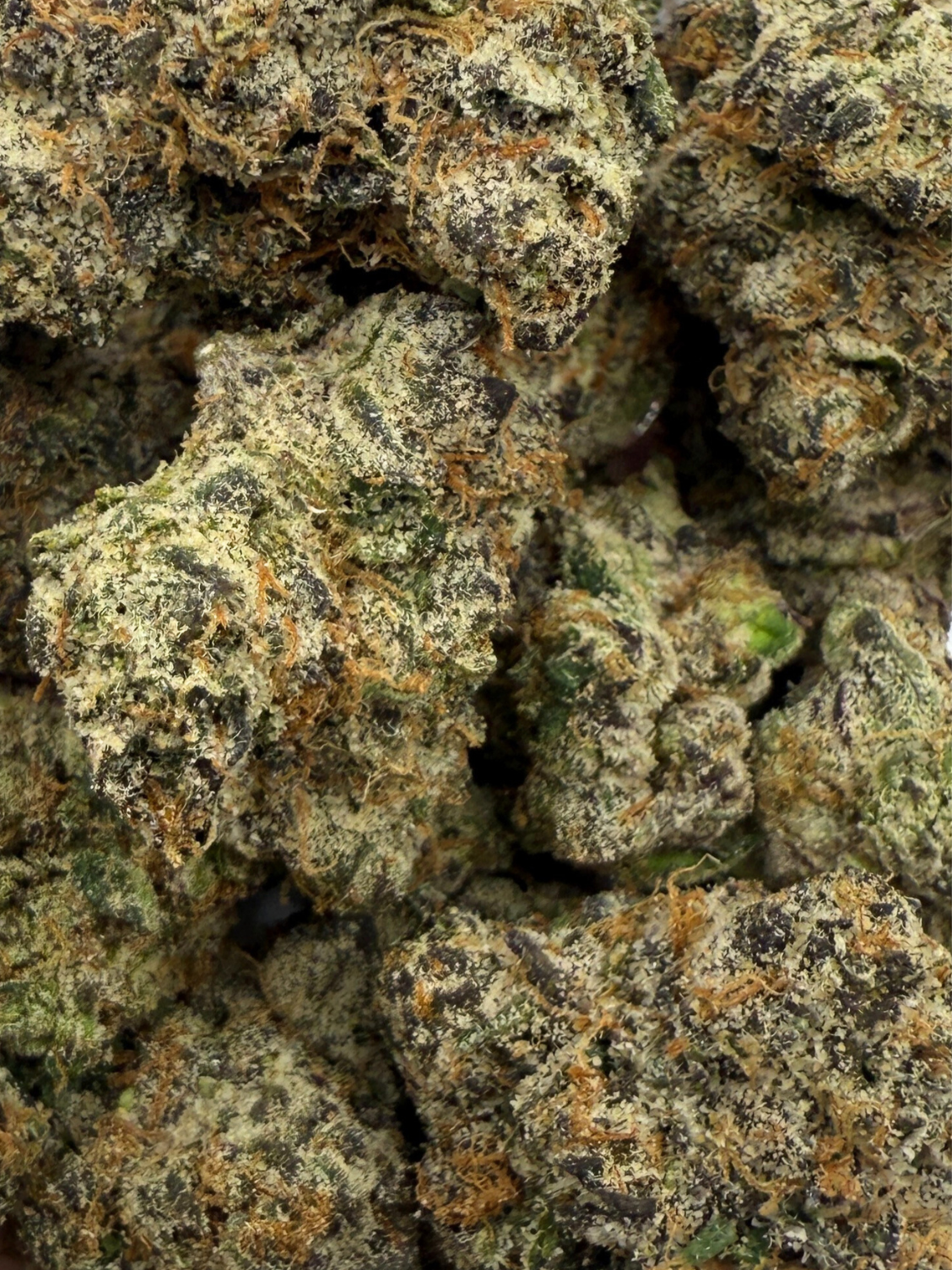 Black Cherry OG THCA