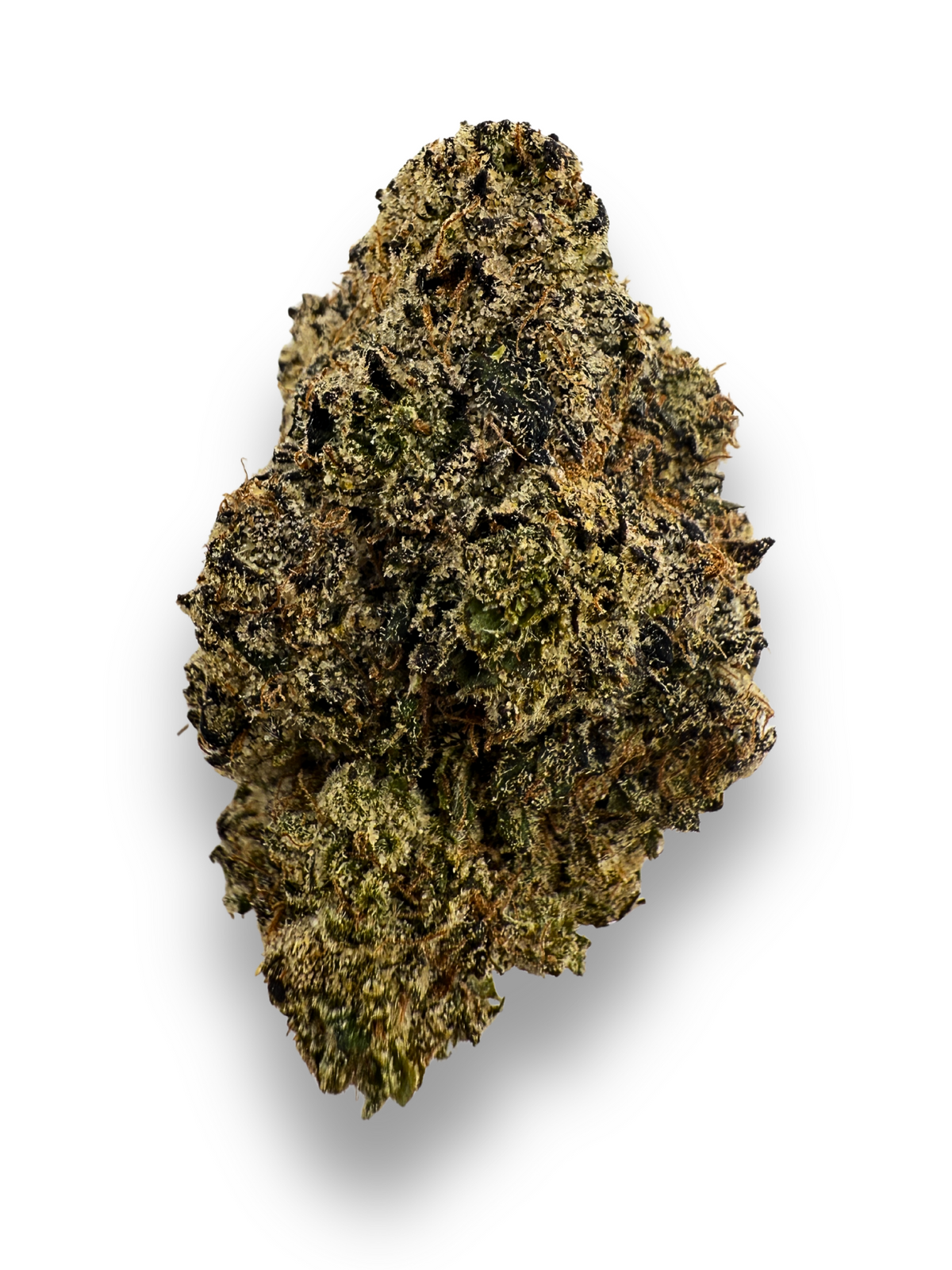 Black Thai Maple THCA Flower August Cannabis Club Indoors Living Soil