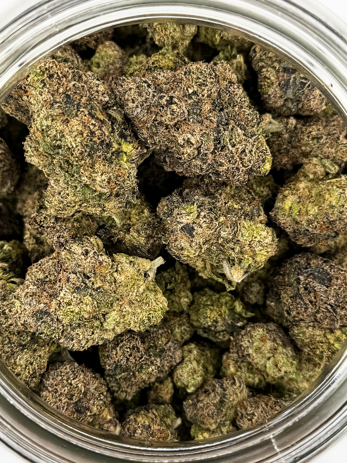 Black Thai Maple THCA Flower August Cannabis Club Indoors Living Soil Closeup