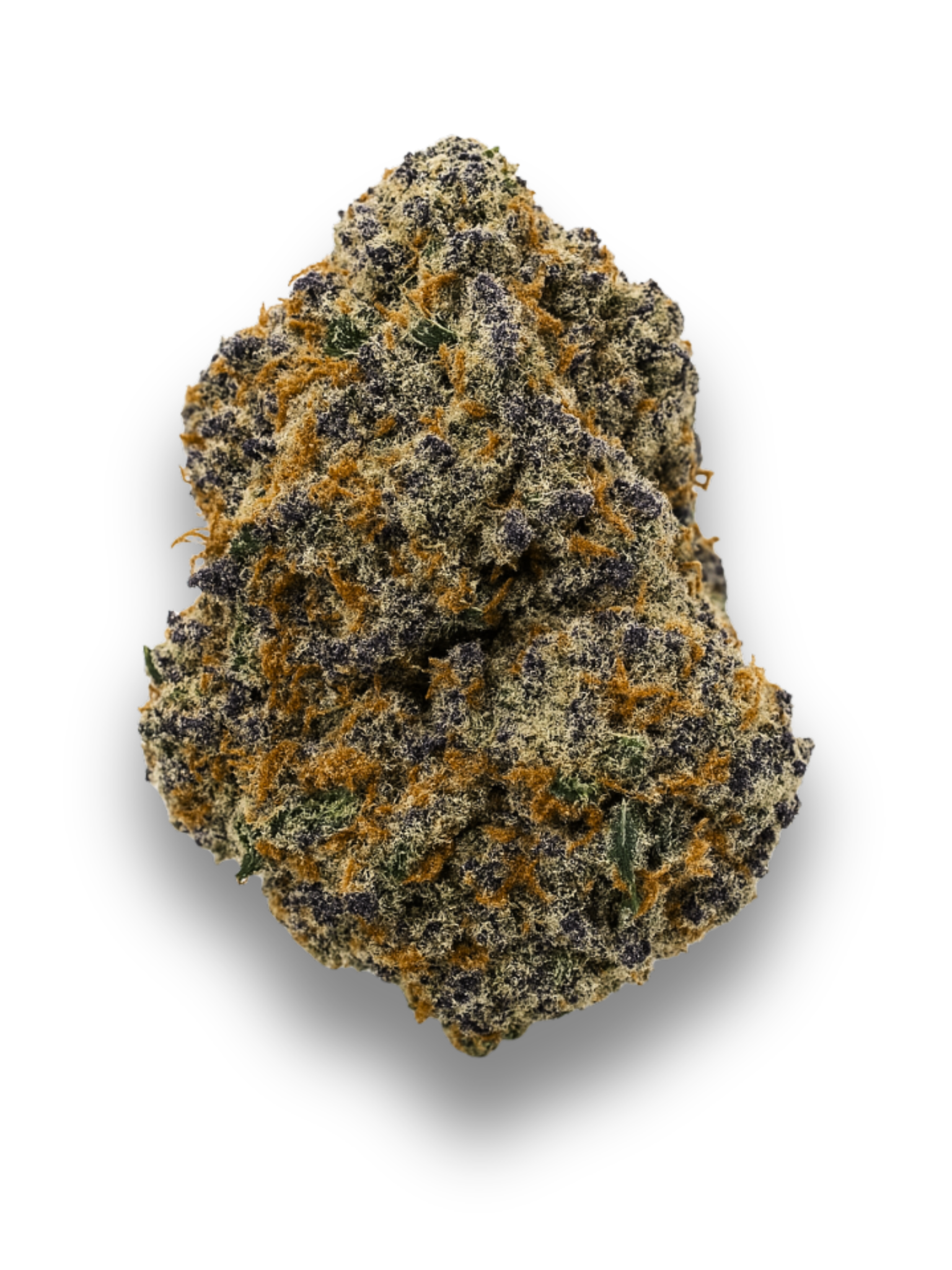 Black Truffles