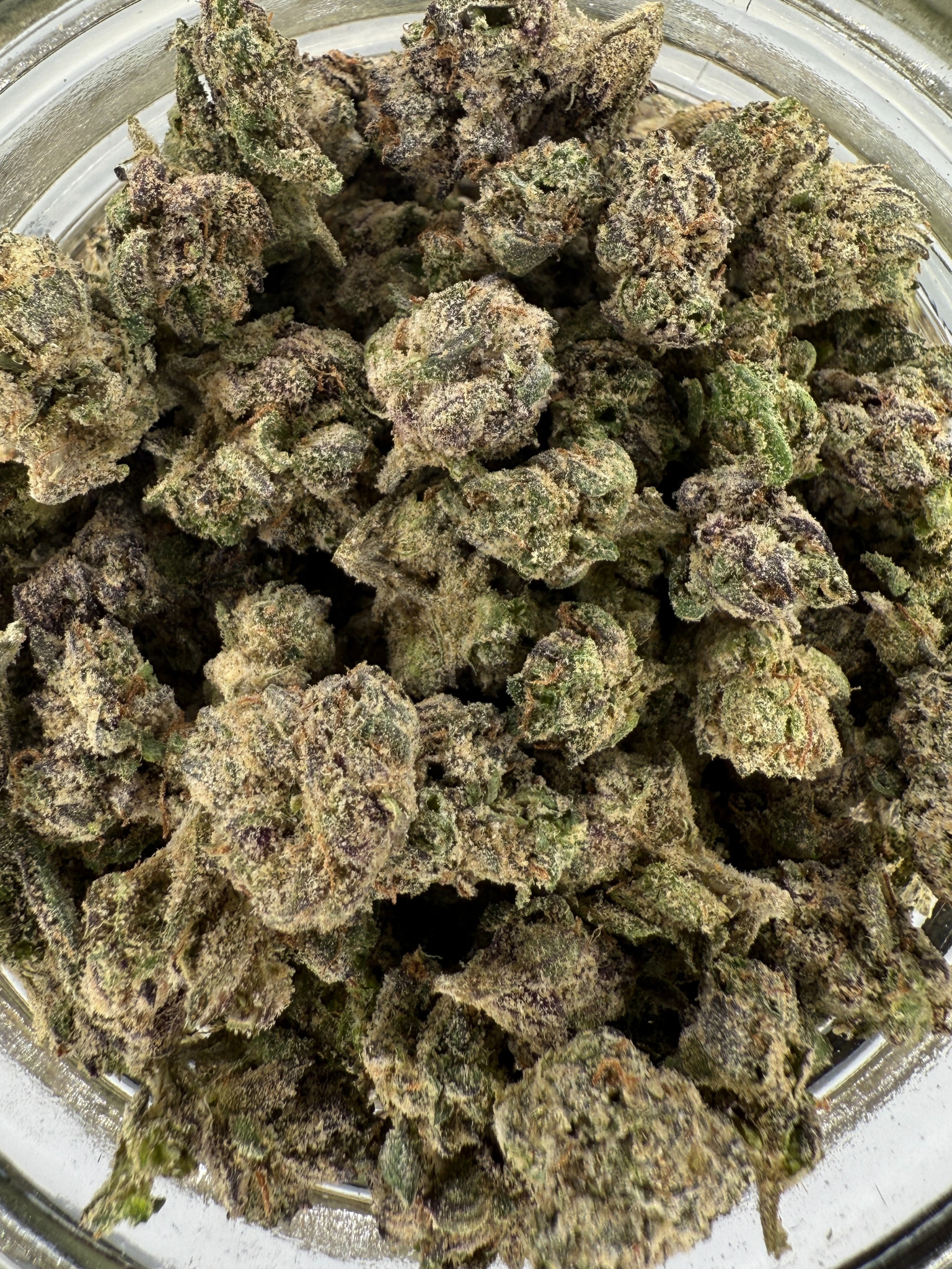 Blue Guava - Exotic Smalls