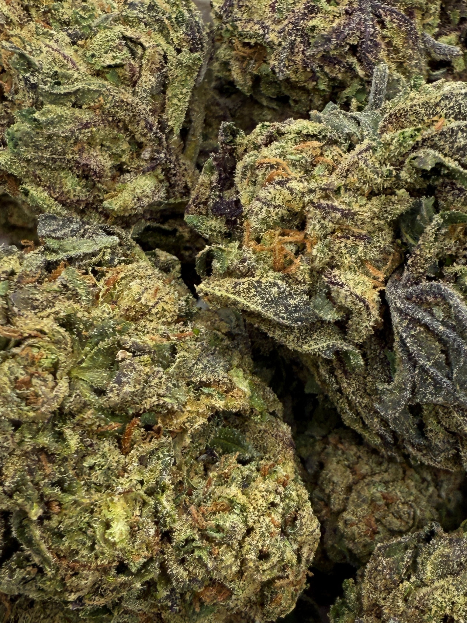 August Cannabis Club THCA Flower  Blueberry