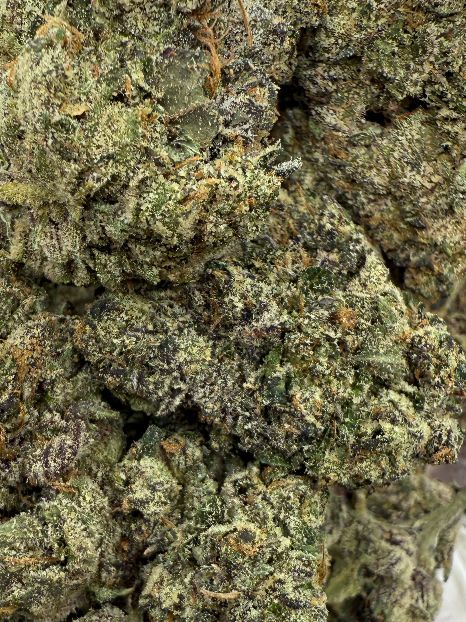 August Cannabis Club THCA Cherry Pie