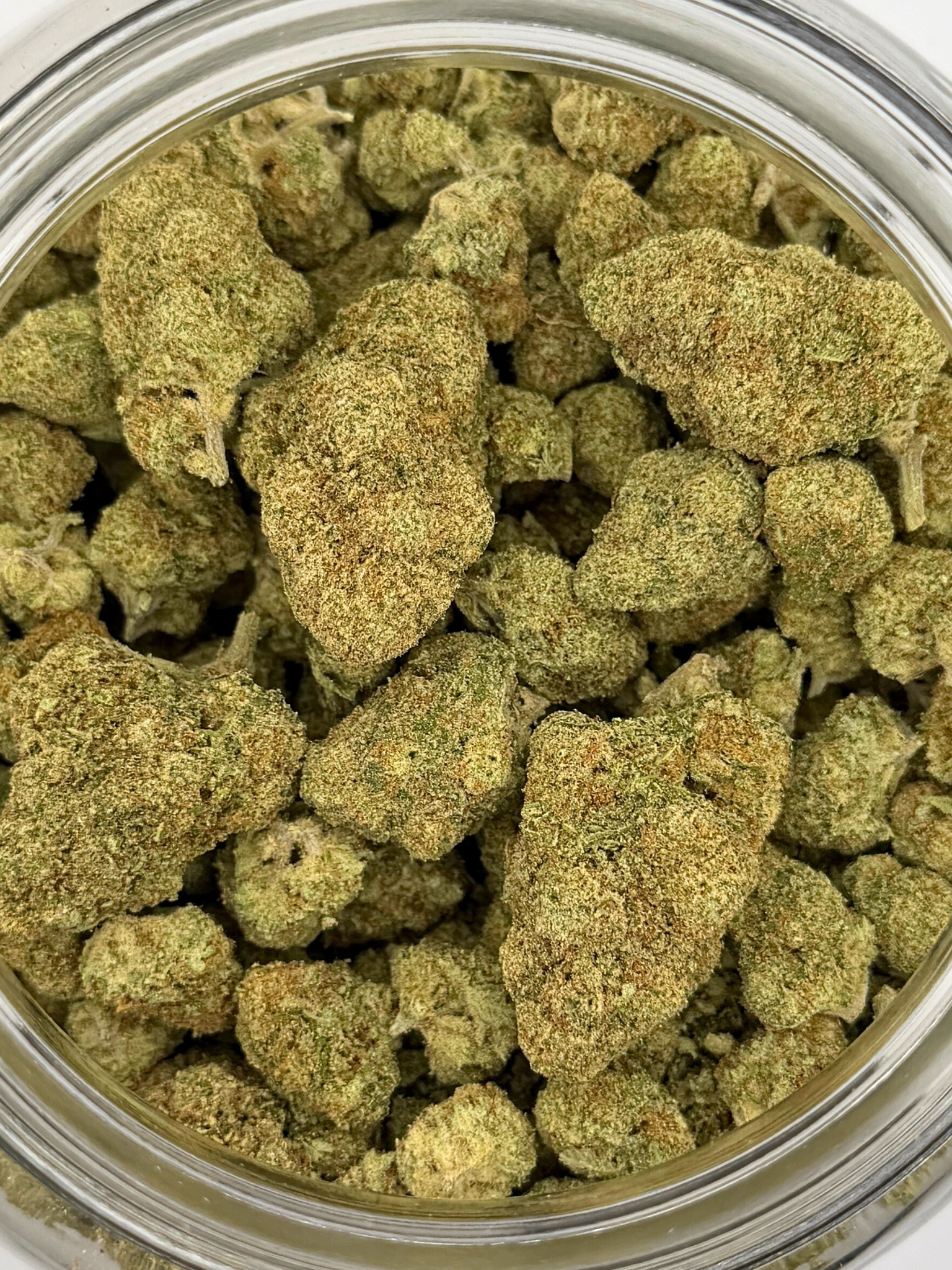 Colombian Gold THCA Flower August Cannabis Club