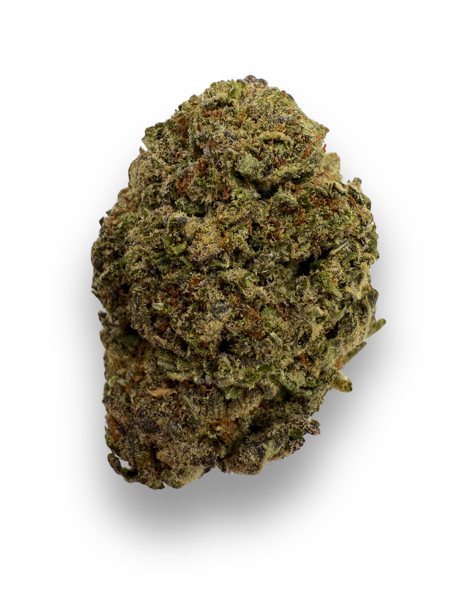 August Cannabis Club THCA Flower  Cookies and Cream