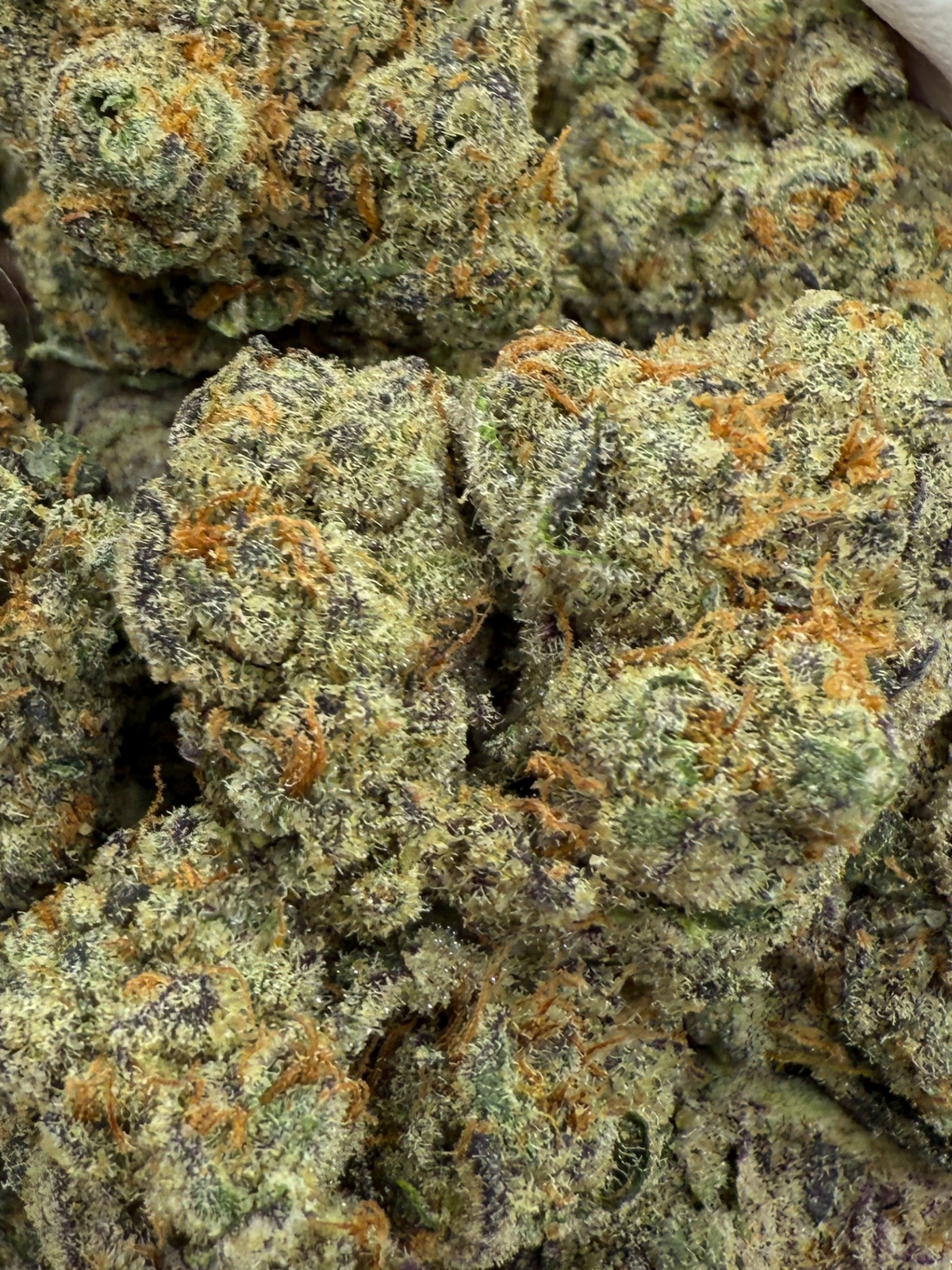 August Cannabis Club THCA Flower  G Force 