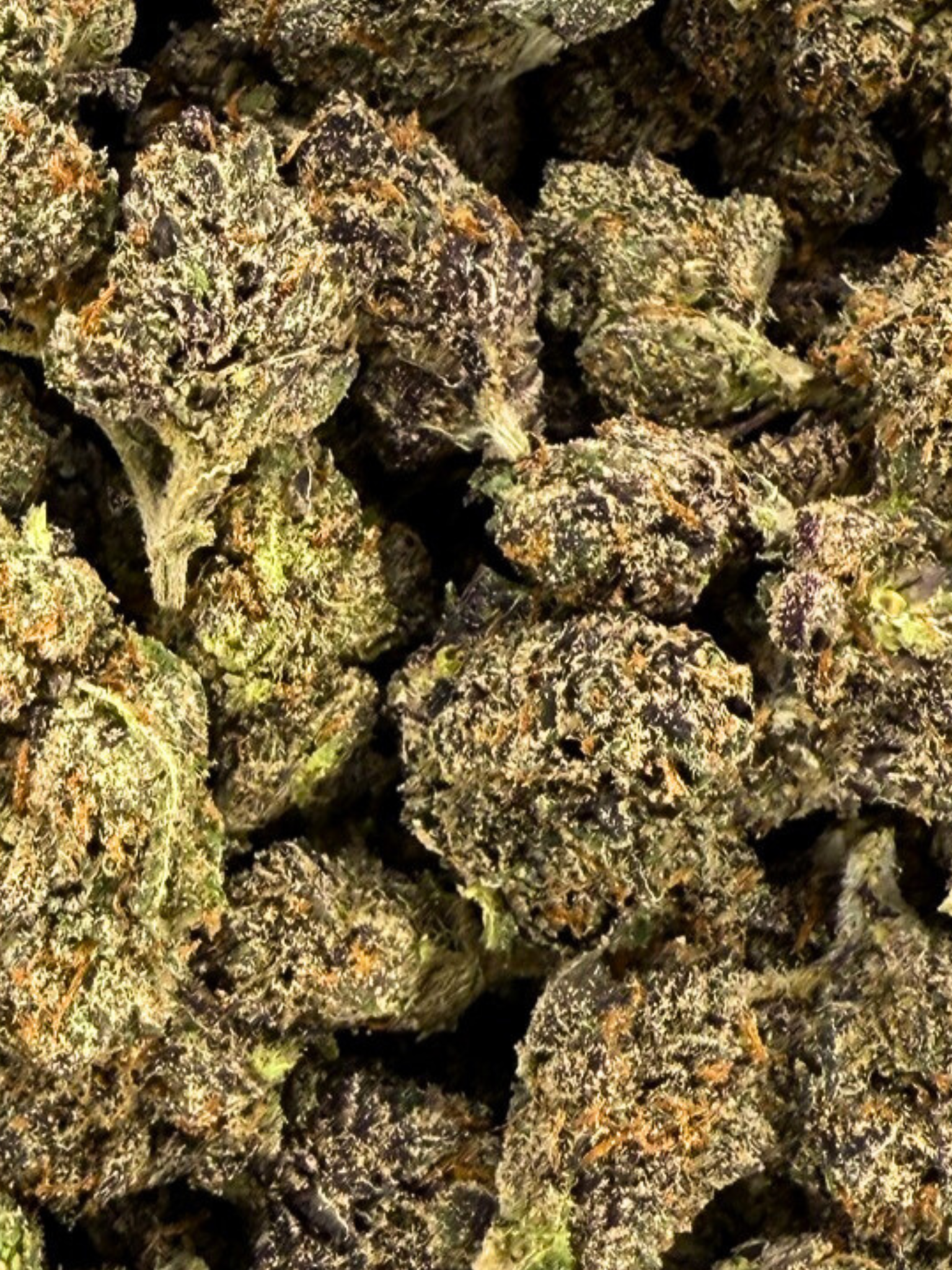 GMO Zkittles - Exotic Smalls