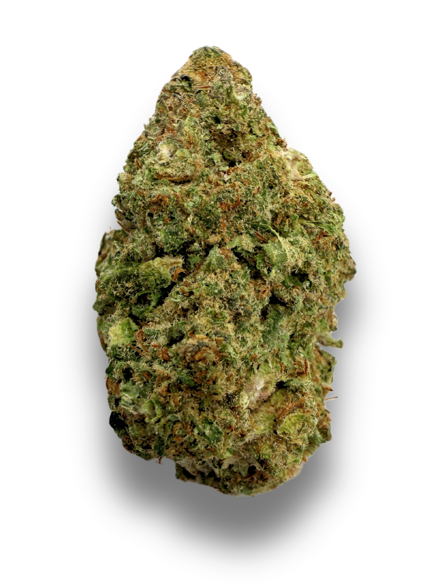 Blaze