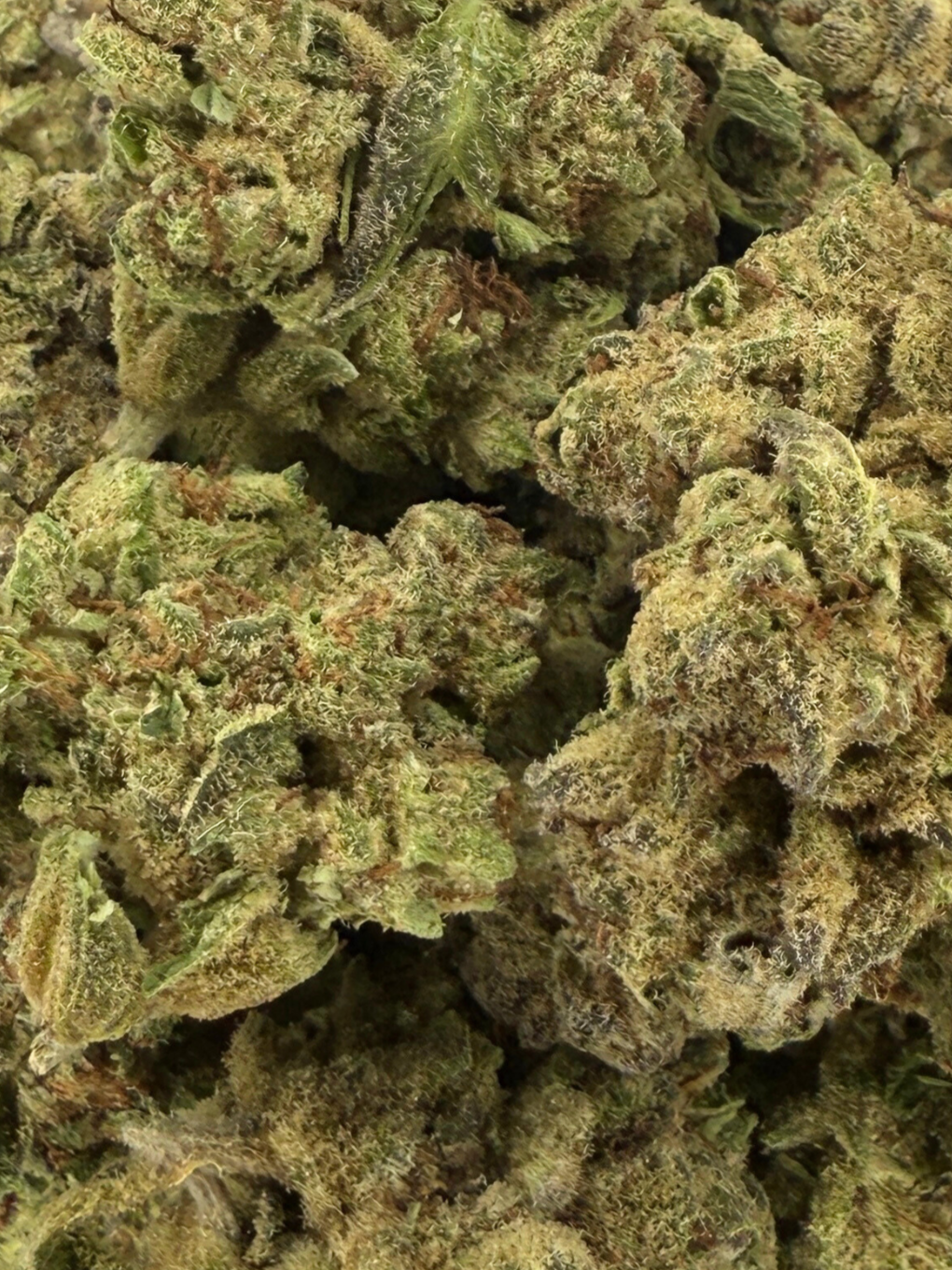 Gelato THCA Flower