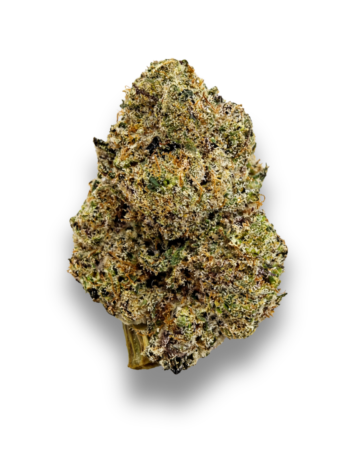 Grape Ape THCA Flower August Cannabis Club Living Soil Exotic Flower