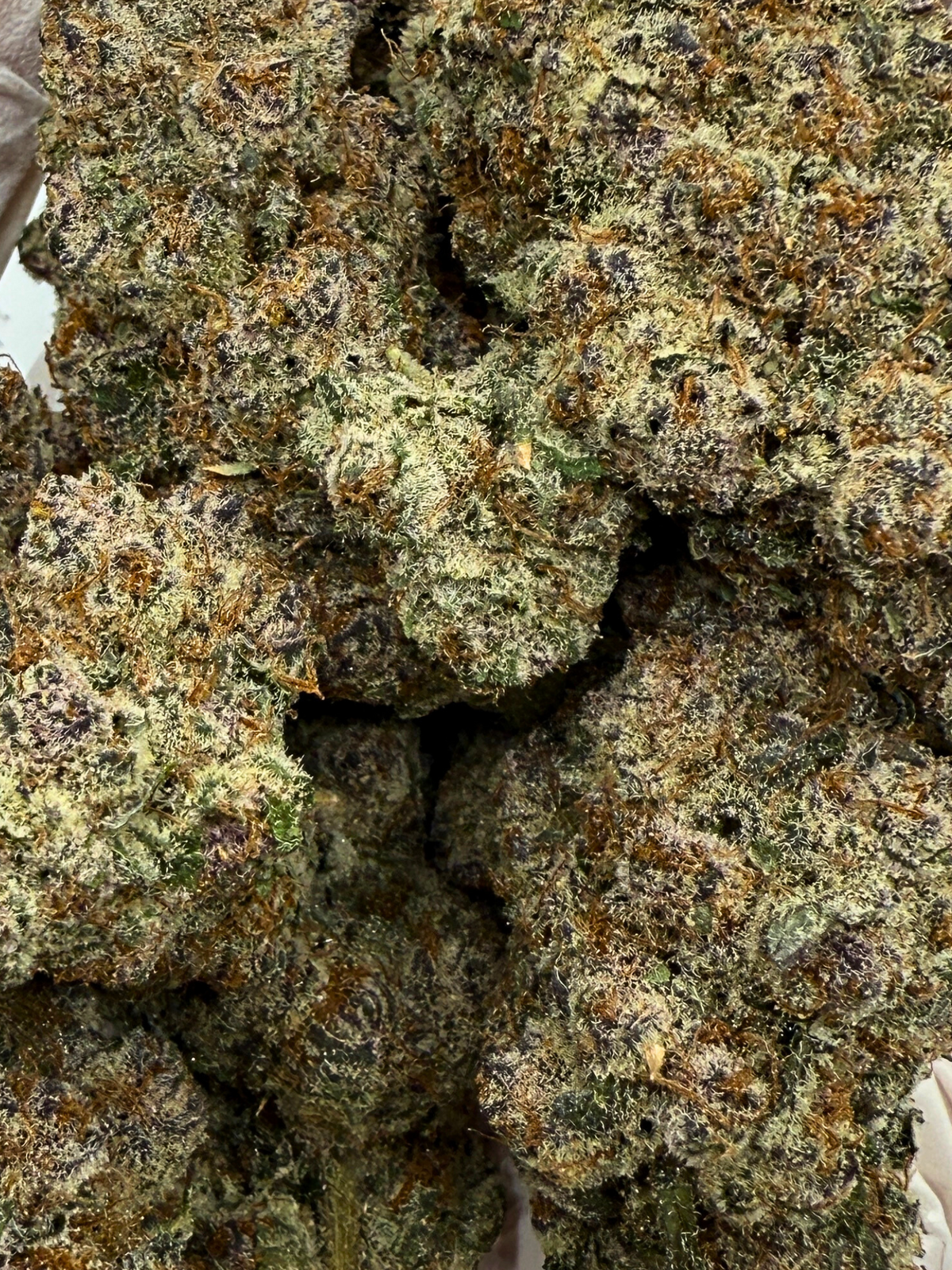 Hi-Octane High Octane August Cannabis Club THCA Closeup