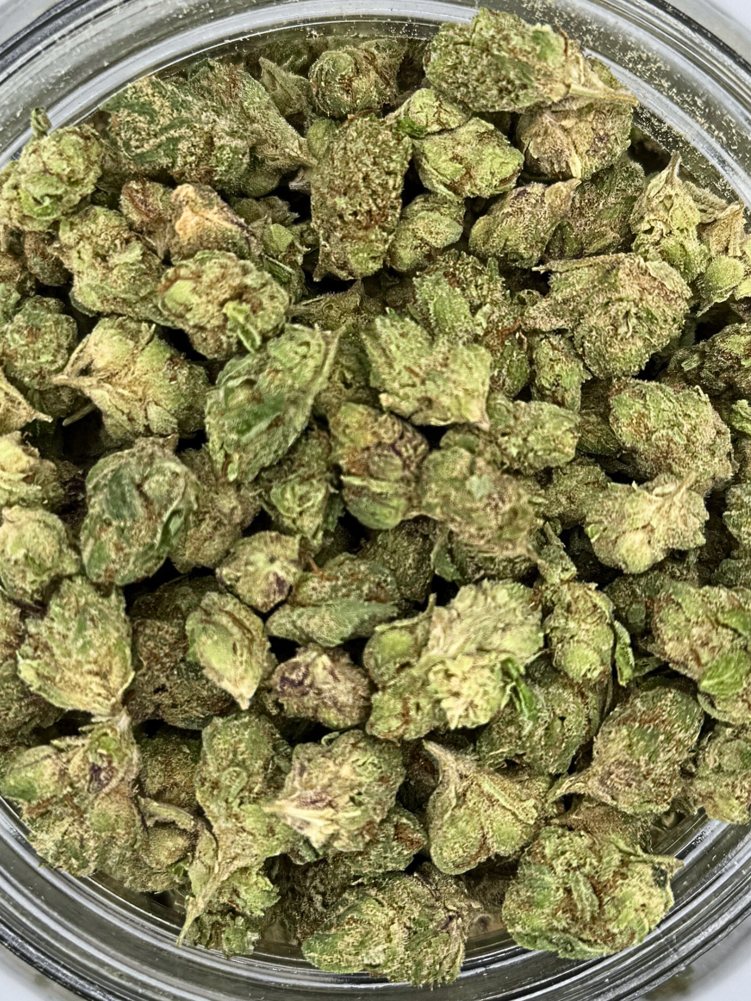 Hindu Kush - Exotic Smalls