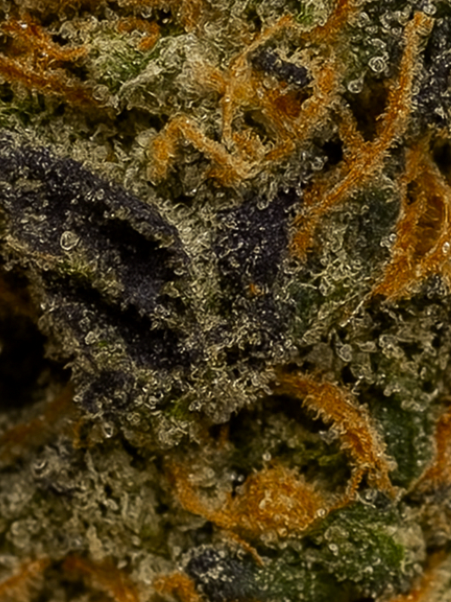 Lemon Cherry Gelato