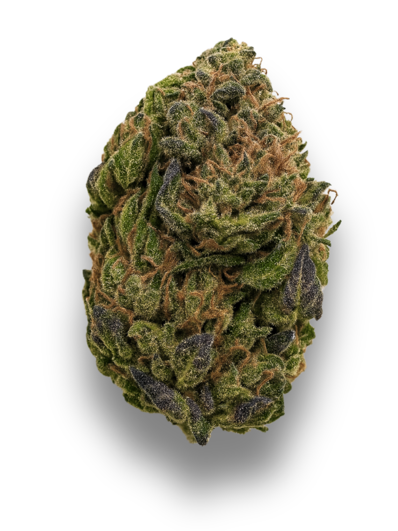 Gelato