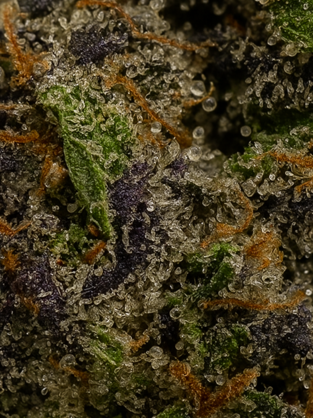 August Cannabis Club Mochi Closeup