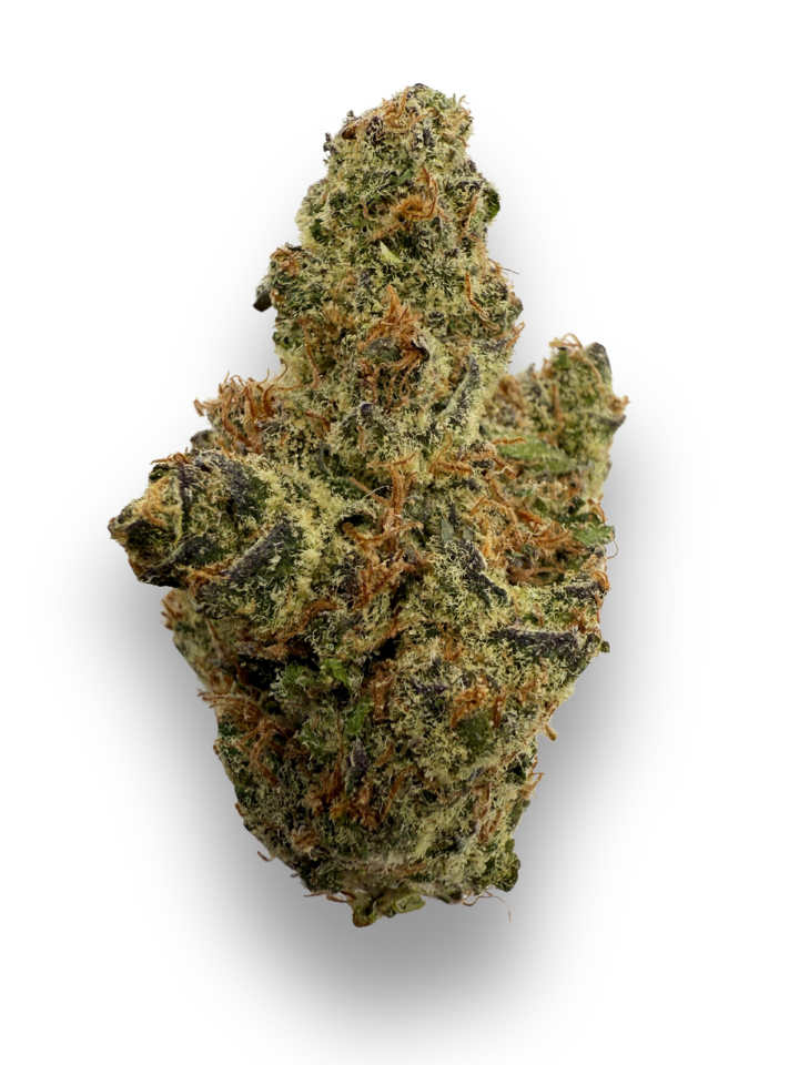 Northern Lights THCA Flower August Cannabis Club