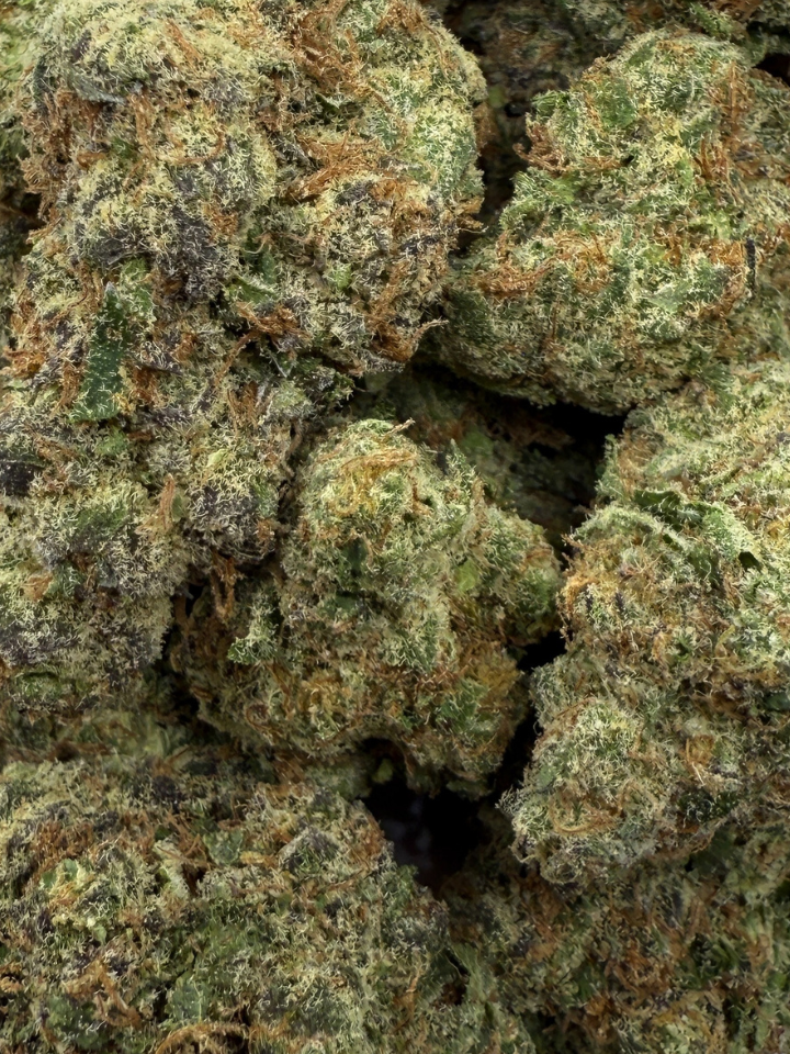 Northern Lights THCA Flower August Cannabis Club