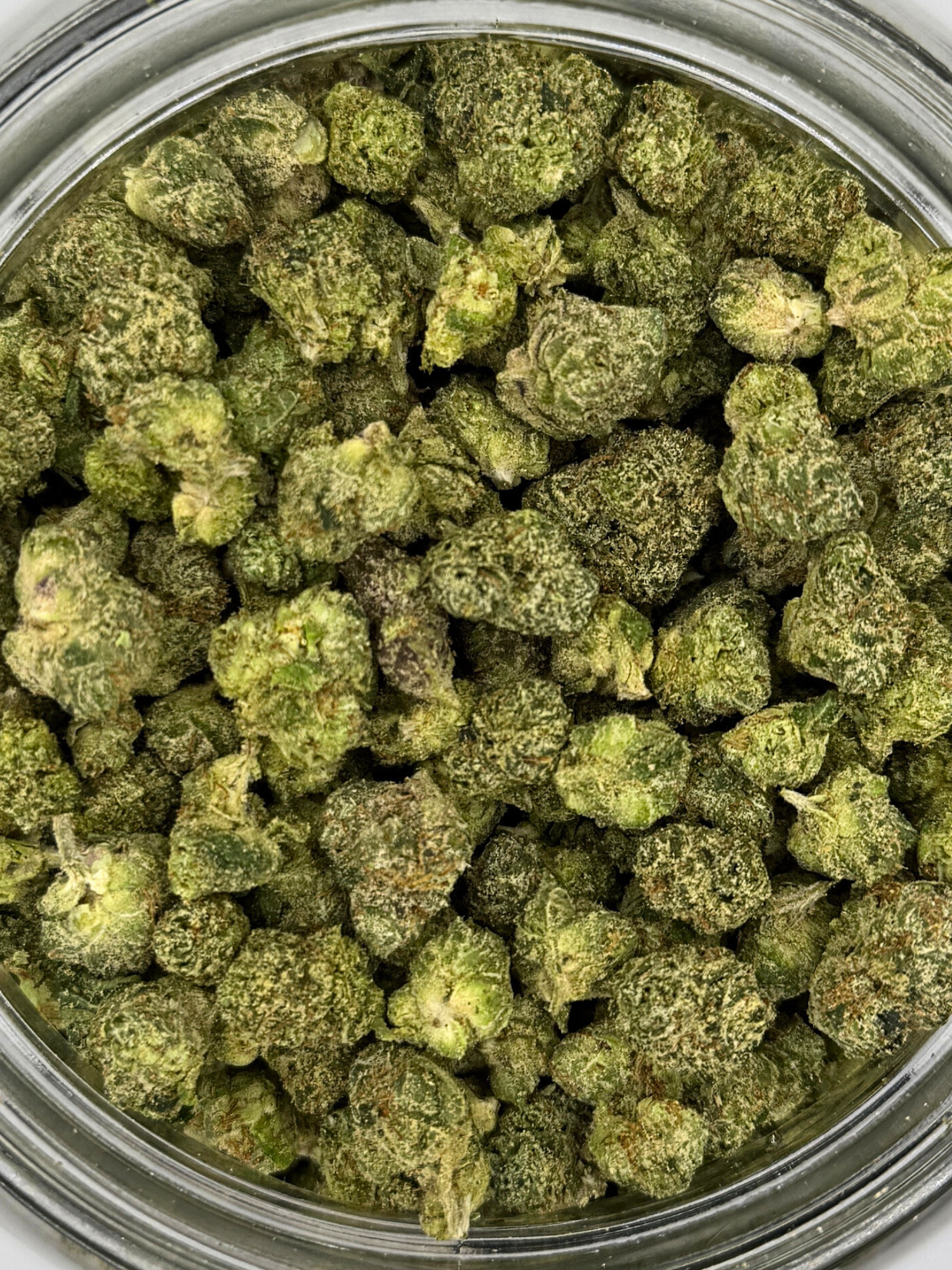 Northern Lights - Exotic Smalls