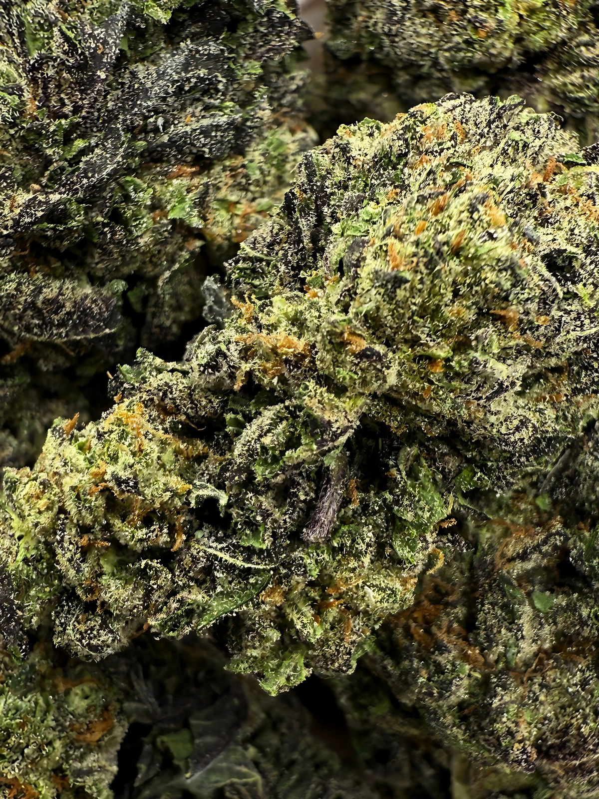 Obama Runtz August Club THCA