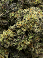 Obama Runtz August Club THCA