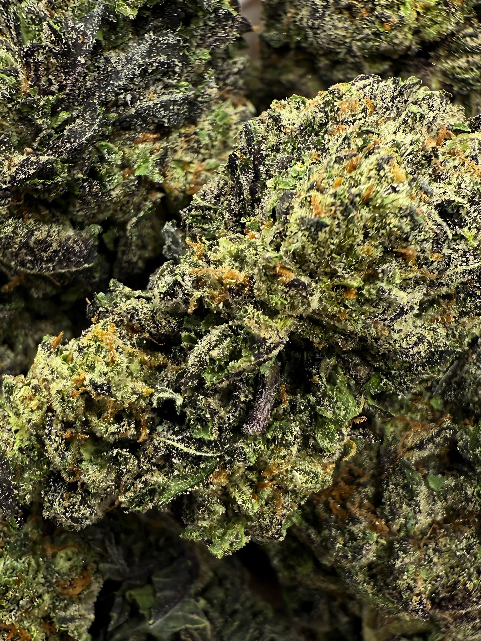 Obama Runtz August Club THCA