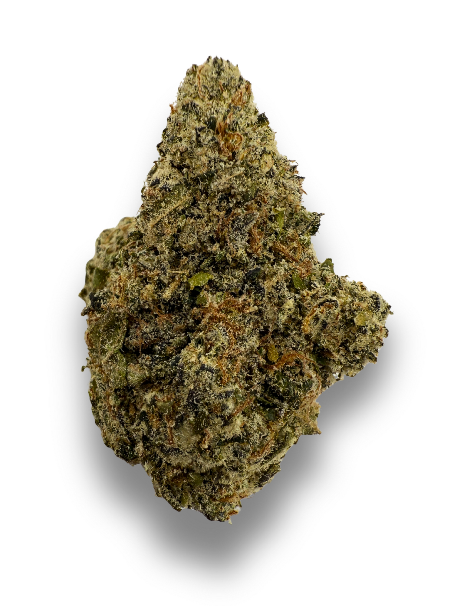 Orange Push Pop THCA Flower August Cannabis Club Indoors Living Soil